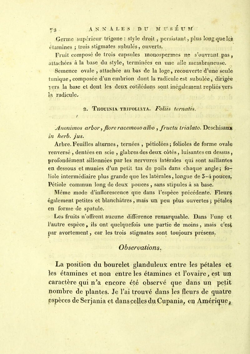 *'2 ANNALES DU M U S E U M i Germe supérieur trigone : style droit, persistant, plus long que foi étamines ; trois stigmates subulés, ouverts. Fruit composé de trois capsules monospermes ne s’ouvrant pas , attachées à la base du style, terminées en une aile membraneuse. Semence ovale , attachée au bas de la loge, recouverte d’une seule tunique, composée d’un embrion dont la radicule est subulée, dirigée vers la base et dont les deux cotilédons sont inégalement repliés vers la radicule.- 2. Tkouima trifoliata. Foliis tematis. I I Anonimos arbor, flore rcicemoso albo , fructu tricilato. Deschisaux in herb. jus. Arbre. Feuilles alternes, ternées , pétiolées ; folioles de forme ovale renversé , dentées en scie , glabres des deux côtés, luisantes en dessus, profondément sillonnées par les nervures latérales qui sont saillantes en dessous et munies d’un petit tas de poils dans chaque angle; fo- liole intermédiaire plus grande que les latérales, longue de 5-4pouces. Pétiole commun long de deux pouces , sans stipules à sa base. Même mode d’inflorescence que dans l’espèce précédente. Fleurs également petites et blanchâtres, mais un peu plus ouvertes ; pétales en forme de spatule. Les fruits n’offrent aucune différence remarquable. Dans l’une et F autre espèce , ils ont quelquefois une partie de moins, mais c’est par avortement, car les trois stigmates sont toujours présens. i •' * } Observations. La position du bourelet glanduleux entre les pétales et les étamines et non entre les étamines et l’ovaire, est un caractère qui n’a encore été observé que dans un petit nombre de plantes. Je l’ai trouvé dans les fleurs de quatre espèces de Serjania et dans celles du Cupania, en Amérique t