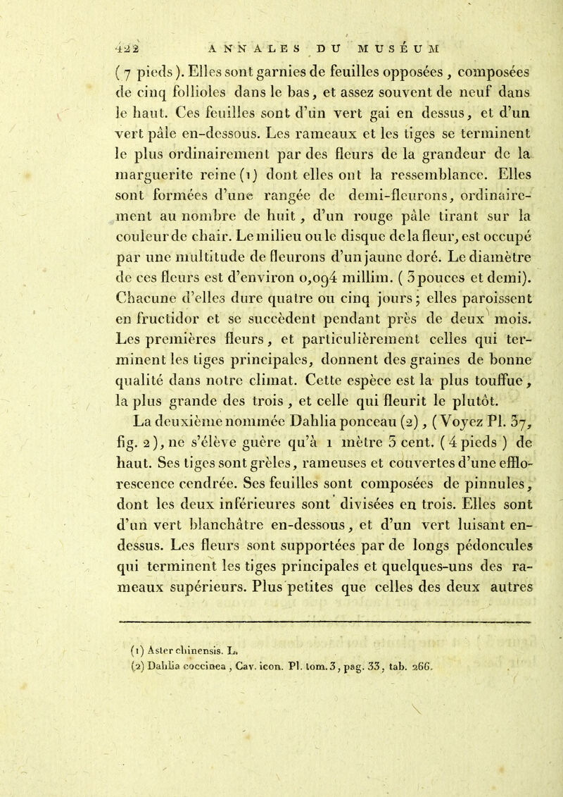 ( 7 pieds ). Elles sont garnies de feuilles opposées , composées de cinq follioles dans le bas, et assez souvent de neuf dans le haut. Ces feuilles sont d’ùn vert gai en dessus, et d’un vert pâle en-dessous. Les rameaux et les tiges se terminent le plus ordinairement par des fleurs de la grandeur de la marguerite reine (i) dont elles ont la ressemblance. Elles sont formées d’une rangée de demi-fleurons, ordinaire- ment au nombre de huit, d’un rouge pâle tirant sur la couleur de chair. Le milieu ouïe disque de la fleur, est occupé par une multitude de fleurons d’un jaune doré. Le diamètre de ces fleurs est d’environ 0,094 millim. ( 3 pouces et demi). Chacune d’elles dure quatre ou cinq jours; elles paroissent en fructidor et se succèdent pendant près de deux mois. Les premières fleurs, et particulièrement celles qui ter- minent les tiges principales, donnent des graines de bonne qualité dans notre climat. Cette espèce est la plus touffue, la plus grande des trois , et celle qui fleurit le plutôt. La deuxième nommée Dahlia ponceau (2), ( Voyez PI. 37, fig. 2), ne s’élève guère qu’à 1 mètre 5 cent. (4 pieds ) de haut. Ses tiges sont grêles, rameuses et couvertes d’une efflo- rescence cendrée. Ses feuilles sont composées de pinnules, dont les deux inférieures sont divisées en trois. Elles sont d’un vert blanchâtre en-dessous, et d’un vert luisant en- dessus. Les fleurs sont supportées par de longs pédoncules qui terminent les tiges principales et quelques-uns des ra- meaux supérieurs. Plus petites que celles des deux autres (1) Àsler chinensis. L, (.2) Dahiia cocciaea , Cav. icon. PI. tom. 3, pag. 33, tab. 26C. \