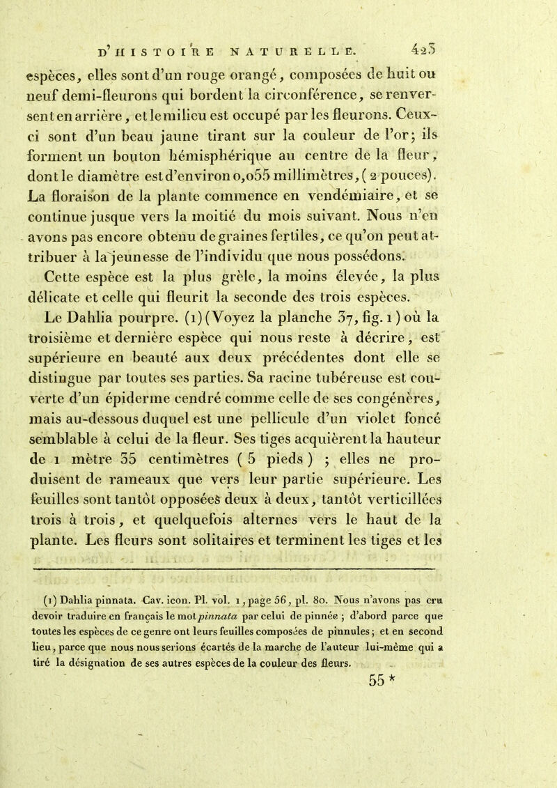 espèces, elles sont d’un rouge orangé, composées de huit ou neuf deini-fleurons qui bordent la circonférence, se renver- sent en arrière, etlemilieu est occupé parles fleurons. Ceux- ci sont d’un beau jaune tirant sur la couleur de For ; ils forment un bouton hémisphérique au centre delà fleur, dont le diamètre est d’environ o,o55 millimètres, ( 2pouces). La floraison de la plante commence en vendémiaire, et se continue jusque vers la moitié du mois suivant. Nous n’en avons pas encore obtenu de graines fertiles, ce qu’on peut at- tribuer à la jeunesse de l’individu que nous possédons. Cette espèce est la plus grêle, la moins élevée, la plus délicate et celle qui fleurit la seconde des trois espèces. Le Dahlia pourpre. (1) (Voyez la planche 37, fig. 1 ) où la troisième et dernière espèce qui nous reste à décrire, est supérieure en beauté aux deux précédentes dont elle se distingue par toutes ses parties. Sa racine tubéreuse est cou- verte d’un épiderme cendré comme celle de ses congénères, mais au-dessous duquel est une pellicule d’un violet foncé semblable à celui de la fleur. Ses tiges acquièrent la hauteur de 1 mètre 35 centimètres ( 5 pieds ) ; elles ne pro- duisent de rameaux que vers leur partie supérieure. Les feuilles sont tantôt opposéefîdeux à deux, tantôt verticillées trois à trois, et quelquefois alternes vers le haut de la plante. Les fleurs sont solitaires et terminent les tiges et les (1) Dahlia pinnata. Cav. icon. PL vol. i, page 56, pl. 80. Nous n’avons pas cru devoir traduire en français le mol pinnata par celui de pinnée ; d’abord parce que toutes les espèces de ce genre ont leurs feuilles composées de pinnules ; et en second lieu, parce que nous nous serions écartés de la marche de l’auteur lui-même qui a tiré la désignation de ses autres espèces de la couleur des fleurs. 55*