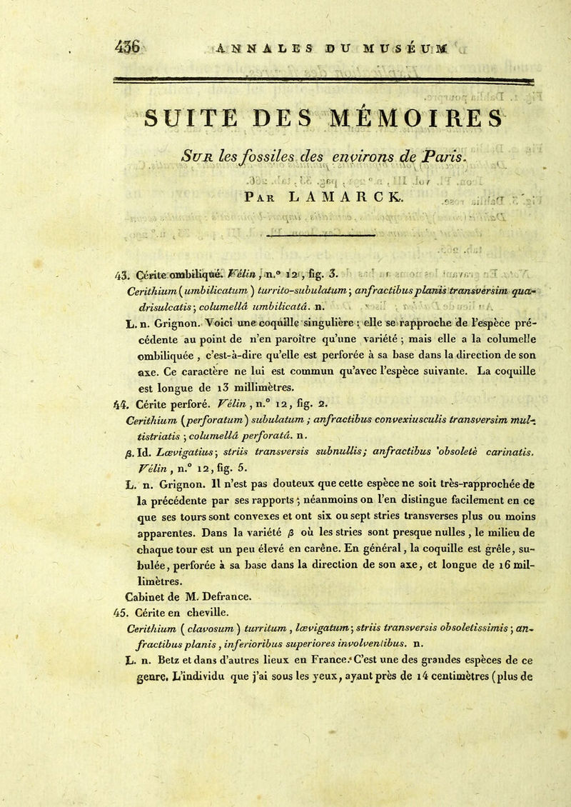 SUITE DES MÉMOIRES Sur les fossiles clés environs de Paris. . rf : fût .gnq . r ::°.a . T .lov o Par LA MA R C K. - i 43. Cérite ombiliqtié. Vélin,n.® 12 , fig. 3. 1 : / Cerithium( urribilicatum ) turrito-subulatum ; anfractibusplanis transversim qua- drisulcatis-, columellâ umbilicatâ. n. ' L. n. Grignon. Yoici une coquille singulière : elle se rapproche de l’espèce pré- cédente au point de n’en paroître qu’une variété ; mais elle a la columefie ombiliquée , c’est-à-dire qu’elle est perforée à sa base dans la direction de son axe. Ce caractère ne lui est commun qu’avec l’espèce suivante. La coquille est longue de i3 millimètres. 44. Cérite perforé. Vélin , n.° 12, fig. 2. Cerithium ( perforatum) subulatum ; anfractibus convexiusculis transversim mul~ tistriatis ; columellâ perforatâ. n. £. Id. Lœvigatius-, striis transversis subnullis; anfractibus 'obsolète carinatis. Vélin , n.° 12, fig. 5. L. n. Grignon. Il n’est pas douteux que cette espèce ne soit très-rapprochée de la précédente par ses rapports *, néanmoins on l’en distingue facilement en ce que ses tours sont convexes et ont six ou sept stries transverses plus ou moins apparentes. Dans la variété /3 où les stries sont presque nulles , le milieu de chaque tour est un peu élevé en carène. En général, la coquille est grêle, su- bulée, perforée à sa base dans la direction de son axe, et longue de 16 mil- limètres. Cabinet de M. Defrance. 45. Cérite en cheville. Cerithium ( clavosum ) turritum , lœvigatum ; striis transversis obsoletissimis ; an- fractibus planis, inferioribus superiores involventibus. n. L. n. Betz et dans d’autres lieux en France.4 C’est une des grandes espèces de ce genre, L’individu que j’ai sous les yeux, ayant près de i4 centimètres (plus de