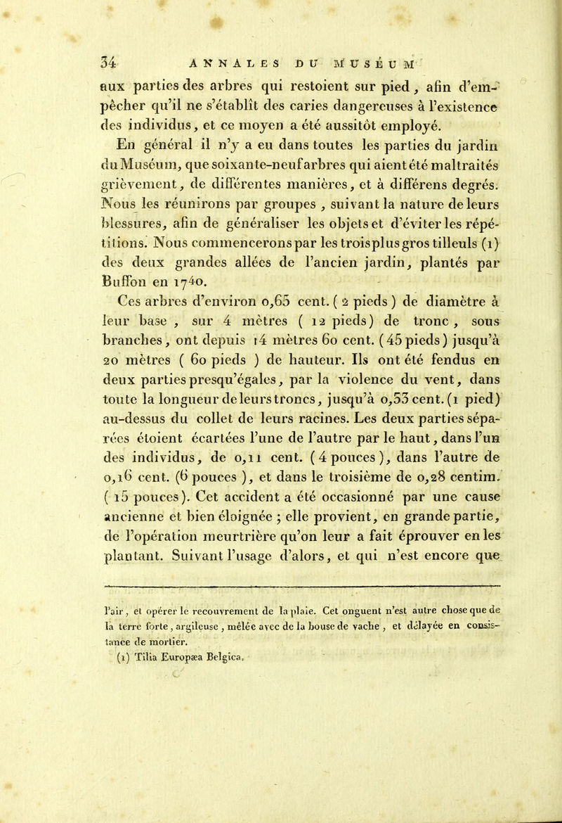 aux parties des arbres qui restoient sur pied, afin d’em- pêcher qu’il ne s’établît des caries dangereuses à l’existence des individus, et ce moyen a été aussitôt employé. En général il n’y a eu dans toutes les parties du jardin du Muséum, que soixante-neufarbres qui aient été maltraités grièvement, de différentes manières, et à différens degrés. Nous les réunirons par groupes , suivant la nature de leurs blessures, afin de généraliser les objets et d’éviter les répé- titions. Nous commencerons par les troispl us gros tilleuls (1) des deux grandes allées de l’ancien jardin, plantés par Buffon en 1740. Ces arbres d’environ o,65 cent. ( 2 pieds ) de diamètre à leur base , sur 4 mètres ( 12 pieds) de tronc, sous branches, ont depuis i4 mètres 60 cent. (45pieds) jusqu’à 20 mètres ( 60 pieds ) de hauteur. Ils ont été fendus en deux parties presqu’égales, parla violence du vent, dans toute la longueur de leurs troncs, jusqu’à o,53cent.(i pied) au-dessus du collet de leurs racines. Les deux parties sépa- rées étoient écartées l’une de l’autre par le haut, dans l’un des individus, de 0,11 cent. (4 pouces), dans l’autre de 0,1b cent. (6 pouces ), et dans le troisième de 0,28 centim. ( i5 pouces). Cet accident a été occasionné par une cause ancienne et bien éloignée ; elle provient, en grande partie, de l’opération meurtrière qu’on leur a fait éprouver en les plantant. Suivant l’usage d’alors, et qui n’est encore que l’air, et opérer le recouvrement de la plaie. Cet onguent n’est autre chose que de la terre forte , argileuse , mêlée avec de la bouse de vache , et délayée en consis- tance de mortier. (1) Tilia Europæa Belgica,