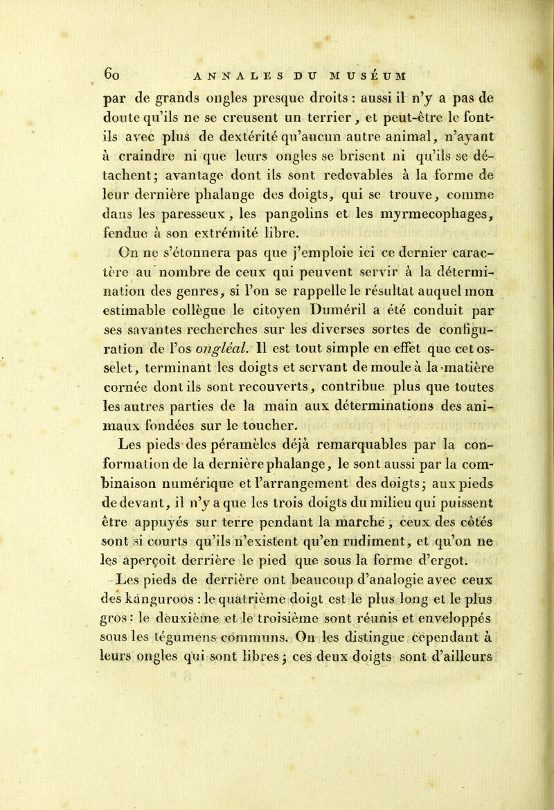 par de grands ongles presque droits : aussi il n’y a pas de doute qu’ils ne se creusent un terrier, et peut-être le font- ils avec plus de dextérité qu’aucun autre animal, n’ayant à craindre ni que leurs ongles se brisent ni qu’ils se dé- tachent; avantage dont ils sont redevables à la forme de leur dernière phalange des doigts, qui se trouve, comme dans les paresseux, les pangolins et les myrmecophages, fendue à son extrémité libre. On ne s’étonnera pas que j’emploie ici ce dernier carac- tère au nombre de ceux qui peuvent servir à la détermi- nation des genres, si l’on se rappelle le résultat auquel mon estimable collègue le citoyen Duméril a été conduit par ses savantes recherches sur les diverses sortes de configu- ration de l’os ongléal. 11 est tout simple en effet que cet os- selet, terminant les doigts et servant de moule à la -matière cornée dont ils sont recouverts, contribue plus que toutes les autres parties de la main aux déterminations des ani- maux fondées sur le toucher. Les pieds des péramèles déjà remarquables par la con- formation de la dernière phalange, le sont aussi par la com- binaison numérique et l’arrangement des doigts; aux pieds de devant, il n’y a que les trois doigts du milieu qui puissent être appuyés sur terre pendant la marché, ceux des cotés sont si courts qu’ils n’existent qu’en rudiment, et qu’on ne les aperçoit derrière le pied que sous la forme d’ergot. Les pieds de derrière ont beaucoup d’analogie avec ceux des kanguroos : le quatrième doigt est le plus long et le plus gros: le deuxième et le troisième sont réunis et enveloppés sous les tégumens communs. On les distingue cependant à leurs ongles qui sont libres ; ces deux doigts sont d’ailleurs