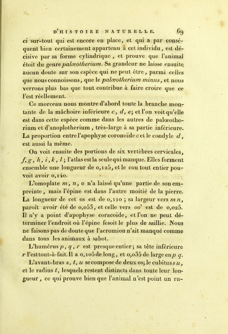 ci sur-tout qui est encore en place, et qui a par consé- quent bien certainement appartenu à cet individu, est dé- cisive par sa forme cylindrique , et prouve que l’animal étoit du genrepalœotherium. Sa grandeur ne laisse ensuite aucun doute sur son espèce qui ne peut être , parmi celles que nous connoissons, que le palœotherium minus, et nous verrons plus bas que tout contribue à faire croire que ce l’est réellement. Ce morceau nous montre d’abord toute la branche mon- tante de la mâchoire inférieure c, d, e; et l’on voitqu’clle est dans cette espèce comme dans les autres de palœothe- rium et d’anoplotherium , très-large à sa partie inférieure. La proportion entre l’apophyse coronoïde cet le condyle d, est aussi la même. On voit ensuite des portions de six vertèbres cervicales, fg, h, i , l\ l’atlas est la seule qui manque. Elles forment ensemble une longueur de o, 125, et le cou tout entier pou- voit avoir o,i4o. L’omoplate m, n, o n’a laissé qu’une partie de son em- preinte , mais l’épine est dans l’autre moitié de la pierre. La longueur de cet os est de 0,110 ; sa largeur vers mn, paroît avoir été de o,o53, et celle vers 00’ est de 0,025. Il n’y a point d’apophyse coracoïde, et l’on ne peut dé- terminer l’endroit où l’épine fesoit le plus de saillie. Nous ne faisons pas de doute que l’acromion n’ait manqué comme dans tous les animaux à sabot. L’humérus p, q, r est presque entier ; sa tête inférieure r l’est tout-à-fait. Il a o,io5delong, et o,o55 de large en d q. L’avant-bras s, t, u se compose de deux os; le cubitus s u, et le radius t, lesquels restent distincts dans toute leur lon- gueur , ce qui prouve bien que l’animal n’est point un ru-