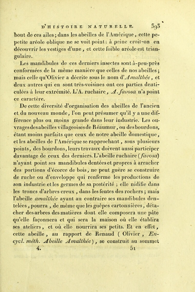 bout de ces ailes ; dans les abeilles de l’Amérique, cette pe- petite aréole oblique ne se voit point; à peine croit-on en découvrir les vestiges d’une , et cette foible aréole est trian- gulaire. Les mandibules de ces derniers insectes sont à-peu-près conformées de la même manière que celles de nos abeilles ; mais celle qu’Olivier a décrite sous le nom d' Amalthèe s et deux autres qui en sont très-voisines ont ces parties denti- culées à leur extrémité. L’A. ruchaire, A.fcivosa n’a point ce caractère. De cette diversité d’organisation des abeilles de l’ancien et du nouveau monde, l’on peut présumer qu’il y a une dif- férence plus ou moins grande dans leur industrie. Les ou- vrages des abeilles villageoises de Réaumur, ou desbourdons, étant moins parfaits que ceux de notre abeille domestique, et les abeilles de l’Amérique se rapprochant, sous plusieurs points, des bourdons,leurs travaux doivent aussi participer davantage de ceux des derniers. L’abeille ruchaire (fa vosci) 11’ayant point ses mandibules dentées et propres à arracher des portions d’écorce de bois, ne peut guère se construire de ruche ou d’enveloppe qui renferme les productions de son industrie et les germes de sa postérité ; elle nidifie dans les troncs d’arbres creux , dans les fentes des rochers ; mais l’abeille amcdbhèe ayant au contraire ses mandibules den- telées , pourra , de même que les guêpes cartonnières, déta- cher des arbres des matières dont elle composera une pâte qu’elle façonnera et qui sera la maison où elle établira ses ateliers , et où elle nourrira scs petits. Et en effet, cette abeille , au rapport de Renaud ( Olivier , En- cjcl. mèth. Abeille Amalthée ), se construit au sommet 4. 5i