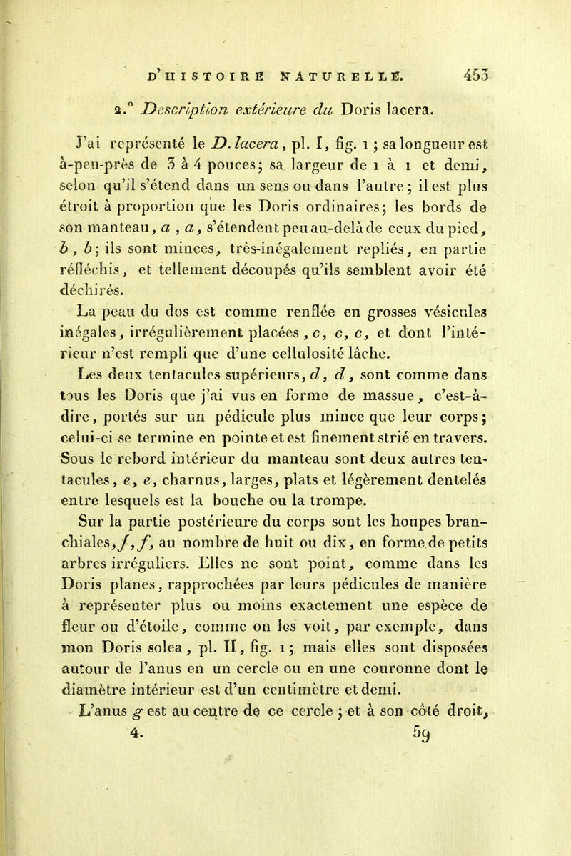 2.0 Description extérieure du Doris lacera. l’ai représenté le D.lacera, pl. I, fig. i ; sa longueur est à-peu-près de 3 à 4 pouces; sa largeur de î à i et demi, selon qu’il s’étend dans un sens ou dans l’autre; il est plus étroit à proportion que les Doris ordinaires; les bords de son manteau, a , a, s’étendent peu au-delà de ceux du pied, h , 6; ils sont minces, très-inégalement repliés, en partie réfléchis, et tellement découpés qu’ils semblent avoir été déchirés. La peau du dos est comme renflée en grosses vésicules inégales, irrégulièrement placées , c, c, c, et dont l’inté- rieur n’est rempli que d’une cellulosité lâche. Les deux tentacules supérieurs, d, d, sont comme dans tous les Doris que j’ai vus en forme de massue, c’est-à- dire, portés sur un pédicule plus mince que leur corps; celui-ci se termine en pointe et est finement strié entravers. Sous le rebord intérieur du manteau sont deux autres ten- tacules, e, e, charnus, larges, plats et légèrement dentelés entre lesquels est la bouche ou la trompe. Sur la partie postérieure du corps sont les houpes bran- chiales,/, /, au nombre de huit ou dix, en forme,de petits arbres irréguliers. Elles ne sont point, comme dans les Doris planes, rapprochées par leurs pédicules de manière à représenter plus ou moins exactement une espèce de fleur ou d’étoile, comme on les voit, par exemple, dans mon Doris solea, pl. II, fig. î ; mais elles sont disposées autour de l’anus en un cercle ou en une couronne dont le diamètre intérieur est d’un centimètre et demi. L’anus g est au centre de ce cercle ; et à son côté droit, 4. 5g