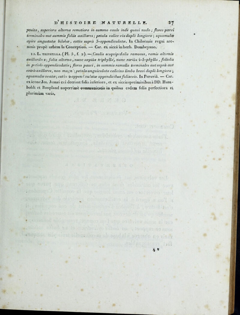 pusitaf superiora alterna remotiora in summo caule indè quasi nudo ; Jîores parai terminales aut summis foliis axillares ; petala calice vix duplo longiora\ squamulos apice angustatœ hilohœ, extûs suprà 5-appendiculafœ. In Chiloëiisîs regni are- nosis propè urbem la Conceplioxi. — Car. ex siccâ in herb. Dombeyano. 1 2. L. TRIPHYX.LA. (Pl5,f. 2). —fiaulis sesquipcdalis ramosus, ramis alternis axillaribi S) folia alterna, nunc sœpiàs triphylld, nunc rariiis ^-5-phylla , foliolis in pptîolo appendiculatisflores pauci, in summis ramulis terminales aut suprà aut extràraxillaresy non magn ' \petala unguiculata calicino limbo brevi duplà longiora ; squamulœ oaatœ\ extàs n-append'.culatœ appendicibus foliaceis. InPeruvià. — Car. ex icône Jos. Jussæi cui deei’ant folia inferiora, et ex siccisspeciminibusàDD. Hum- boldt et Bonpland uuperrimë comtttuaicâU$ iu quibus eadem folia perfectiora et plurimiuu varia.