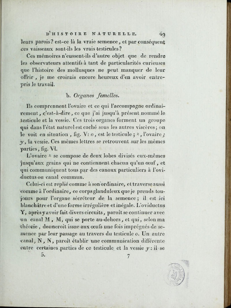 îeurs parois? est-ce là la vraie semence, et par conséquent ces vaisseaux sont-ils les vrais testicules? Ces mémoires n’eussent-ils d’autre objet que de rendre les observateurs attentifs à tant de particularités curieuses que l’histoire des mollusques ne peut manquer de leur offrir , je me croirais encore heureux d’en avoir entre- pris le travail. b. Organes femelles» Ils comprennent l’ovaire et ce qui l’accompagne ordinai- rement, c’est-à-dire, ce que j’ai jusqu’à présent nommé le testicule et la vessie. Ces trois organes forment un groupe qui dans l’état nalurel est caché sous les autres viscères; on le voit en situation , fig. V: o, est le testicule ; l’ovairey ■y y la vessie. Ces memes lettres se retrouvent sur les memes parties, fig. VI. L’ovaire ^ se compose de deux lobes divisés eux-mêmes jusqu’aux grains qui ne contiennent chacun qu’un oeuf, et qui communiquent tous.par des canaux particuliers à l’ovi- ductus ou canal commun. Celui-ci est replié comme à son ordinaire, et traverse aussi comme à l’ordinaire, ce corps glanduleux que je prends tou- jours pour l’organe sécréteur de la semence ; il est ici blanchâtre et d’une forme irrégulière et inégale. L’oviductus Y, après-y avoir fait divers circuits, paroît se continuer avec un canal M , M, qui se porte au-dehors, et qui, selon ma ihéorie , donneroit issue aux oeufs une fois imprégnés de se- mence par leur passage au travers du testicule o. Un autre canal, N, N, paroît établir une communication différente i'ütre certaines parties de ce testicule et la vessie y \ il se
