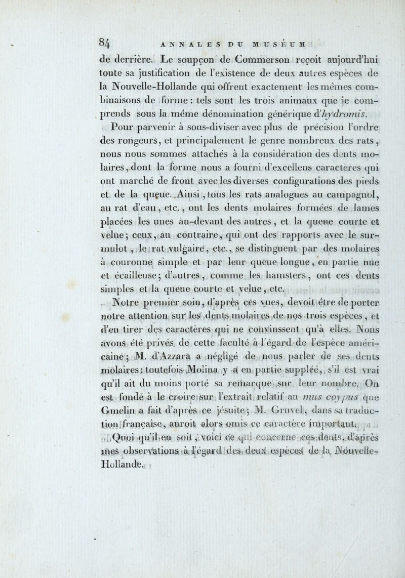 de derrière. Le soupçon de Commerson reçoit aujourd’hui toute sa justification de l’existence de deux autres espèces de la Nouvelle-Hollande qui offrent exactement les memes com- binaisons de forme : tels sont les trois animaux que ie com- prends sous la meme dénomination générique dliydromis. Pour parvenir à sous-diviser avec plus de précision l’ordre des rongeurs, et principalement le genre nombreux des rats, nous nous sommes attachés à la considération des dents mo- laires, dont la forme nous a fourni d’excellons caractères qui ont marché de front avec les diverses configurations des pieds et de la queue. Ainsi ,tous les rats analogues au campagnol, au rat d’eau, etc., ont les dents molaires formées de lames placées les unes au-devant des autres , et la queue courte et velue; ceux, au contraire, qui ont des rapports avec le sur- mulot , le rat vulgaire, etc., se distinguent par des molaires à couronne simple et par leur queue longue, en partie nue et écailleuse ; d’autres, comme les hamsters, ont ces dents simples et la queue courte et velue, etc. Notre premier soin, d’après ces vues, devoit être déporter notre attention sur les dents molaires de nos trois espèces, et d’en tirer des caractères qui ne convinssent qu’à elles. INous avons été privés de cette faculté à l'égard de l’espèce améri- caine ; M. d’Azzara a négligé de nous parler de ses dents molaires : toutefois JYlolina y a en partie suppléé, .s’il est vrai qu’il ait du moins porté sa rerharque sur leur nombre. On est fondé à le croire: sur l’extrait relatif au mus coj pus que Gmelin a fait d’après ce jésuite; M. Gruvel, dans sa traduc- tion française, auroit alors omis ce caractère important^ Quoi qu’il-en soit, voici ce qui concerne ces dents, d’après mes observations à l’égard des deux espèces de la Nouvelle- Hollandè.