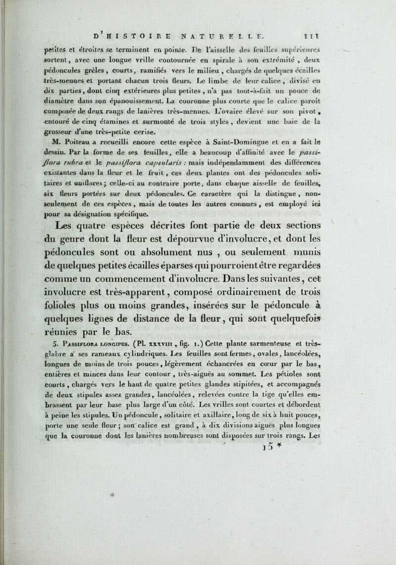 petites et étroites se terminent en pointe. De l’aisselle des feuilles supérieures sortent, avec une longue vrille contournée en spirale à son extrémité , deux pédoncules grêles, courts, ramifiés vers le milieu , chargés de quelques écailles très-menues et portant chacun trois fleurs. Le limbe de leur calice , divisé en dix parties, dont cinq extérieures plus petites , n’a pas tout-k-fait un pouce de diamètre dans son épanouissement. La couronne plus courte que le calice paroit composée de deux rangs de lanières très-menues. L’ovaire élevé sur son pivot , entouré de cinq étamines et surmonté de trois styles , devient une haie de la grosseur d’une très-petite cerise. M. Poiteau a recueilli encore celte espèce à Saint-Domingue et en a fait le dessin. Parla forme de ses feuilles, elle a beaucoup d’affinité avec le passi- flora rubra et le passijlora capsiiluns : mais indépendamment des différences existantes dans la fleur et le fruit , ces deux plantes ont des pédoncules soli- taires etuniflores; celle-ci au contraire porte, dans chaque aisselle de feuilles, six fleurs portées sur deux pédoncules. Ce caractère qui la distingue , non- seulement de ces espèces , mais de toutes les autres connues , est employé ici pour sa désignation spécifique. Les quatre espèces décrites font partie de deux sections du genre dont la fleur est dépourvue d’involucre, et dont les pédoncules sont ou absolument nus , ou seulement munis de quelques petites écailles éparses qui pourroient être regardées comme un commencement d’involucre. Dans les suivantes, cet involucre est très-apparent, composé ordinairement de trois folioles plus ou moins grandes, insérées sur le pédoncule à quelques lignes de distance de la fleur, qui sont quelquefois réunies par le bas. 5. Passiflora longipes. (PI. xxxviii , fig. i.) Cette plante sarmenteuse et très- glabre a ses rameaux cylindriques. Les feuilles sont fermes , ovales, lancéolées, longues de moins de trois pouces, légèrement échancrées en cœur par le bas, ent ières et minces dans leur contour , ti cs-aiguës au sommet. Les pétioles sont courts , chargés vers le haut de quatre petites glandes stipitées, et accompagnés de deux stipules assez grandes, lancéolées, relevées contre la tige qu’elles em- brassent par leur hase plus large d’un côté. Les vrilles sont courtes et débordent à peine les stipules. Un pédoncule, solitaire et axillaire, long de six à huit pouces, porte une seule fleur ; son calice est grand , à dix divisions aiguës plus longues que la couronne dont les lanières nombreuses sont disposées sur trois rangs. Les