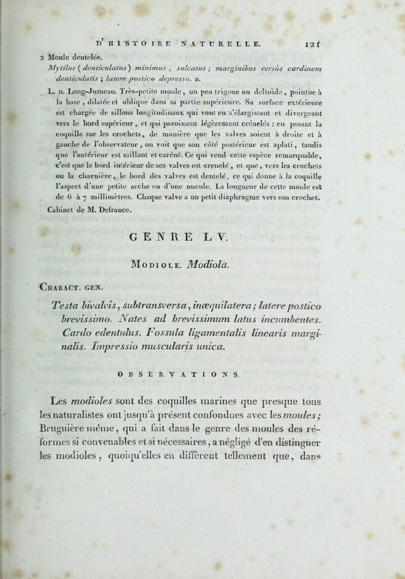 2 Moule dentelée. Mytilus ( denticulatus ) minimus , sulcatus ; marginibus versus carditiem denticulatis ; latere postico de pressa, n. L. n. Long-Jumeau. Très-petite moule, un peu trigone ou deltoïde, pointue h la base, dilatée et oblique dans sa partie supérieure. Sa surface extérieure est chargée de sillons longitudinaux qui vont en s’élargissant et divergeant vers le bord supérieur , et qui paroîssent légèrement crénelés : en posant la coquille sur les crochets, de manière qne les valves soient à droite et à gauche de Fohservateur , on voit que son côté postérieur est aplati, tandis que l’antérieur est saillant et caréné. Ce qui rend cette espèce remarquable, c’est que le bord intérieur de ses valves est crenelé , et que , vers les crochets ou la charnière, le bord dès valves est dentelé, ce qui donne à la coquille l’aspect d’une petite arche ou d’une nucule. La longueur de cette moule est de 6 à 7 millimètres. Chaque valve a un petit diaphragme vers son crochet. Cabinet de M. Defrance. GENRE L Y. M o d i o l e. Modiola. CfiARACT. GEN. Testa bivalvis, subtransversa, inœrjuilatera ; latere postico brevissimo. iSates ad brevissimum latus inenmbentes. Cardo edentidus. Fossula ligamentalis linearis marge nalis. Impressio muscularis unica. OBSERVATIONS. Les modioles sont des coquilles marines que presque tous les naturalistes ont jusqu’à présent confondues avec les moules ; Bruguière meme, qui a fait dans le genre des moules des ré- formes si convenables et si nécessaires, a négligé d’en distinguer les modioles, quoiqu’elles en diffèrent tellement que, dans