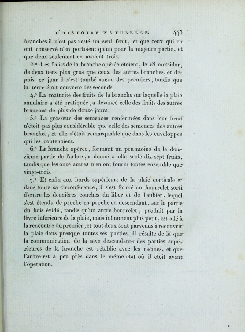 branches il n’est pas resté un seul fruit, et que ceux qui en ont conservé n’en portoient qu’un pour la majeure partie, et que deux seulement en avoient trois, 3.° Les fruits de la branche opérée éloient, le 18 messidor, de deux tiers plus gros que ceux des autres branches, et de- puis ce jour il n’est tombé aucun des premiers, tandis que la terre étoit couverte des seconds. 4-° La maturité des fruits de la branche sur laquelle la plaie annulaire a été pratiquée , a devancé celle des fruits des autres branches de plus de douze jours. 5. ° La grosseur des semences renfermées dans leur brou n’étoit pas plus considérable que celle des semences des autres branches, et elle n’étoit remarquable que dans les enveloppes qui les contenoient. 6. ° La branche opérée, formant un peu moins de la dou- zième partie de l’arbre , a donné à elle seule dix-sept fruits, tandis que les onze autres n’en ont fourni toutes ensemble que vingt-trois. '7.° Et enfin aux bords supérieurs de la plaie corticale et dans toute sa circonférence, il s’est formé un bourrelet sorti d’entre les dernières couches du liber et de l’aubier, lequel s’est étendu de proche en proche en descendant, sur la partie du bois évidé , tandis qu’un autre bourrelet , produit par la lèvre inférieure de la plaie, mais infiniment plus petit, est allé à la rencontre du premier, et tous deux sont parvenus à recouvrir la plaie dans presque toutes ses parties. Il résulte de là que la communication de la sève descendante des parties supé- rieures de la branche est rétablie avec les racines, et que l’arbre est à peu près dans le meme état où il étoit avant l’opération.