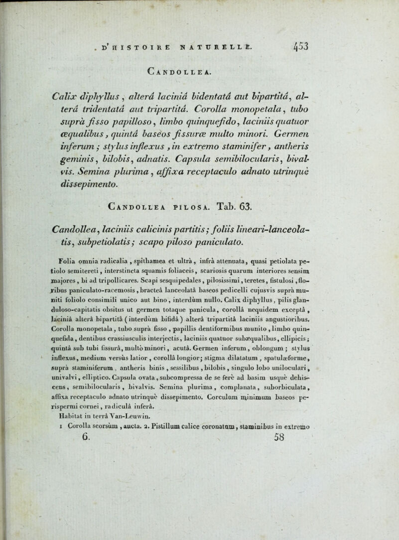 Candollea. Ccilix diphyllus, altéra laciniâ bidentatâ aut bipartitâ, al- téra tridentatâ aut tripartitâ. Corolla monopetala, JwÆo suprà Jisso papilloso, limbo quinquefdo, laciniis quatuor œqualibus, quintâ basé os fi s sur ce multo minori. Germen inferum ; Stylus infiexus , in extremo staminifer, antlieris geminis, bilobis, adnatis. Capsula semibilocularis, bival- vis. Semina plurima, affxa receptaculo adnato utrinquè dissepimento. Candollea pilosa. Tab. 63. Candollea, laciniis calicinis partitis ; foliis lineari-lanceola- subpetiolatis ; scapo piloso paniculato. Folia omnia radicalia , spitliamea et ultra, infra attenuata, quasi petiolata pe- tiolo semitereti, interstincta squamis foliaceis, scariosis quarum interiores sensim majores, bi ad tripollicares. Scapi sesquipedales, pilosissimi,teretes, fistulosi ,flo- ribus paniculato-racemosis , bracteâ lanceolatâ baseos pedicelli cujusvis suprà mu- niti foliolo consimili unico aut bino , interdùm nullo. Calix diphyllus, pilis glau- duloso-capitatis obsitus ut germen totaque panicula, corolla nequidem excepta , laciniâ altéra bipartitâ ( interdùm bifidâ) alterâ tripartitâ laciniis angustioribus. Corolla monopetala, tubo suprà fisso , papillis dentiformibus munito , limbo quin- quefida, dentibus crassiusculis interjectis, laciniis quatuor subæqualibus, ellipicis ; quintâ sub lubi fîssurâ, multo minori, acutâ. Germen inferum , oblongum ; Stylus infiexus, medium versus latior , corollàlongior; stigma dilatatum , spatulæforme, suprà staminiferum antlieris binis , sessilibus , bilobis , singulo lobo uniloculari, univalvi, elliptico. Capsula ovata, subcompressa de se ferè ad basim usquè dehis- cens, semibilocularis, bivalvis. Semina plurima, complanata, suborbiculata, affixa receptaculo adnato utrinquè dissepimento. Corculcun minimum baseos pe- rispermi cornei, radiculâ inferâ. Habitat in terrâ Van-Lemvin. i Corolla seorsùm , aucta. a. Pistillum calice coronatam, staminibus in extremo 6. , 58