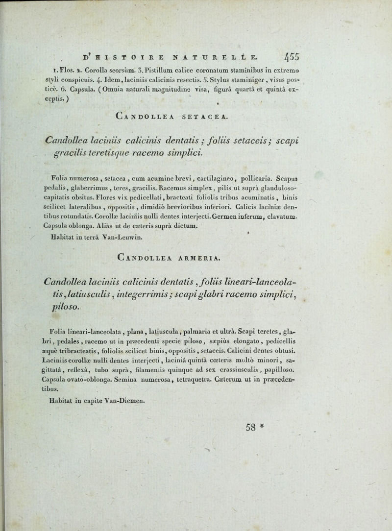 b’ HISTOIRE NATURELLE. l\55 ï. Flos. a. Corolla seorsiim. 3.Pistillum calice coronatum staminibus in cxtremo styli conspicuis. 4- Idem, laciniis calicinis resectis. 5. Stylus staminiger, visus pos- ticè. 6. Capsula. ( Omuia uaturali magnitudine visa, figura quartâ et quintà ex- ceplis. ) ; Candollea setacea. Candollea laciniis calicinis dentatis ; foliis setaceis y scapi gracilis teretisque racemo simplici. Folia numerosa, setacea , cum acumine brevi, cartilagineo, pollicaria. Scapus pedalis, glaberrimus , teres, gracilis. Racemus simplex, pilis ut supra glauduloso- capitatis obsitus. Flores vix pedicellati, bracteati foliolis tribus acuminatis , binis scilicet lateralibus , oppositis , dimidio brevioribus inferiori. Calicis lacmiæ den- tilms rotundatis. Corollæ laciniis nulli dentes interjecti.Germen inferum, clavatum. Capsula oblonga. Alias ut de cæteris supra dictum. Habitat in terra Yan-Leuwin. Candollea armeria. Candollea laciniis calicinis dentatis, foliis lineari-lanceola- tis, latiusculis, integerrimis ; scapi glabri racemo simplici, piloso. Folia lineari-lanceolata, plana, laliuscula, palmaria et ultra. Scapi teretes, gla- bri, pedales , racemo ut in præcedenti specie piloso, sæpiùs elongato , pedicellis æquè tribracteatis , foliolis scilicet binis, oppositis , setaceis. Calicini dentes obtusi. Laciniis corollæ nulli dentes interjecti, laciniâ quintà cæteris multô minori, sa- gittatà, reflexâ, tubo supra, filamenLis quinque ad ses. crassiusculis , papilloso. Capsula ovato-oblonga. Semina numerosa, tetraquetra. Cælerum ut in præceden- tibus. Habitat in capite Yan-Diemen. 58 *