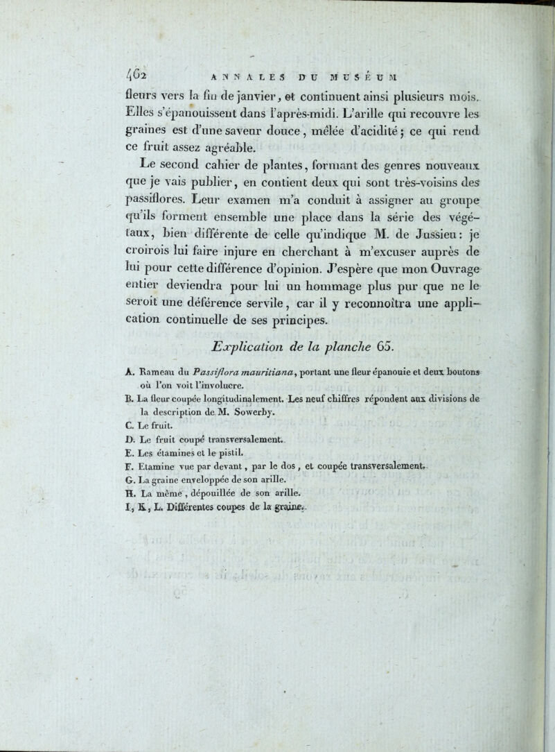 fleurs vers la fin de janvier, et continuent ainsi plusieurs mois. Elles s’épanouissent dans l’après-midi. L’arille qui recouvre les graines est d’une saveur douce, mêlée d’acidité j ce qui rend ce fruit assez agréable. Le second cahier de plantes, formant des genres nouveaux, que je vais publier, en contient deux qui sont très-voisins des passiflores. Leur examen m’a conduit à assigner au groupe qu’ils forment ensemble une place dans la série des végé- taux, bien différente de celle qu’indique M. de Jussieu: je croirois lui faire injure en cherchant à m’excuser auprès de lui pour cette différence d’opinion. J’espère que mon Ouvrage entier deviendra pour lui un hommage plus pur que ne le seroit une déférence servile, car il y reconnoitra une appli- cation continuelle de ses principes. Explication de la planche 65. A. Rameau du Passiflora mauritiana, portant une fleur épanouie et deux boutons où l’on voit l’involucre. B. La fleur coupée longitudinalement. Les neuf chiffres répondent aux divisions de la description de M. Sowerby. C. Le fruit. D. Le fruit coupé transversalement. E. Les étamines et le pistil. F. Etamine vue par devant, par le dos , et coupée transversalement. G. La graine enveloppée de son arille. H. La même , dépouillée de son arille. I. L. Différentes coupes de la graine..