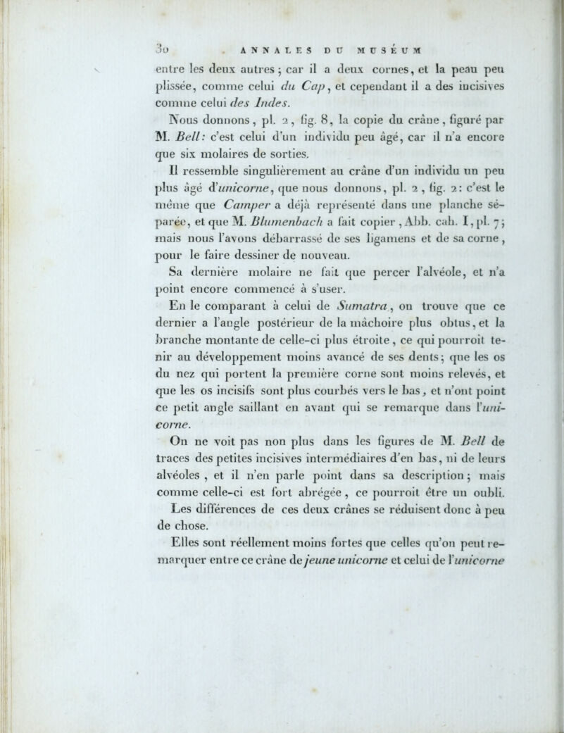 entre les deux autres ; car il a deux cornes, et la peau peu plissée, comme celui du Cap, et cependant il a des incisives comme celui des Indes. Nous donnons, pl. 2, fig. 8, la copie du crâne, figuré par M. Bell: c’est celui d’un individu peu âgé, car il n’a encore que six molaires de sorties. Il ressemble singulièrement au crâne d’un individu un peu plus âgé d'unicorne, que nous donnons, pl. 2 , fig. 2: c’est le meme que Camper a déjà représenté dans une planche sé- parée, et que M. Blumenbach a lait copier , Abb. cab. I, pl. 7; mais nous l’avons débarrassé de ses ligamens et de sa corne, pour le faire dessiner de nouveau. Sa dernière molaire ne fait que percer l’alvéole, et n’a point encore commencé à s’user. En le comparant à celui de Sumatra, on trouve que ce dernier a l'angle postérieur de la mâchoire plus obtus, et la branche montante de celle-ci plus étroite , ce qui pourroit te- nir au développement moins avancé de ses dents; que les os du nez qui portent la première corne sont moins relevés, et que les os incisifs sont plus courbés vers le bas, et n’ont point ce petit angle saillant en avant qui se remarque dans l'uni- conie. On ne voit pas non plus dans les figures de M. Bell de traces des petites incisives intermédiaires d’en bas, ni de leurs alvéoles , et il 11’en parle point dans sa description ; mais comme celle-ci est fort abrégée, ce pourroit être un oubli. Les différences de ces deux crânes se réduisent donc à peu de chose. Elles sont réellement moins fortes que celles qu’on peut re- marquer entre ce crâne de jeune unicome et celui de Y unie orne