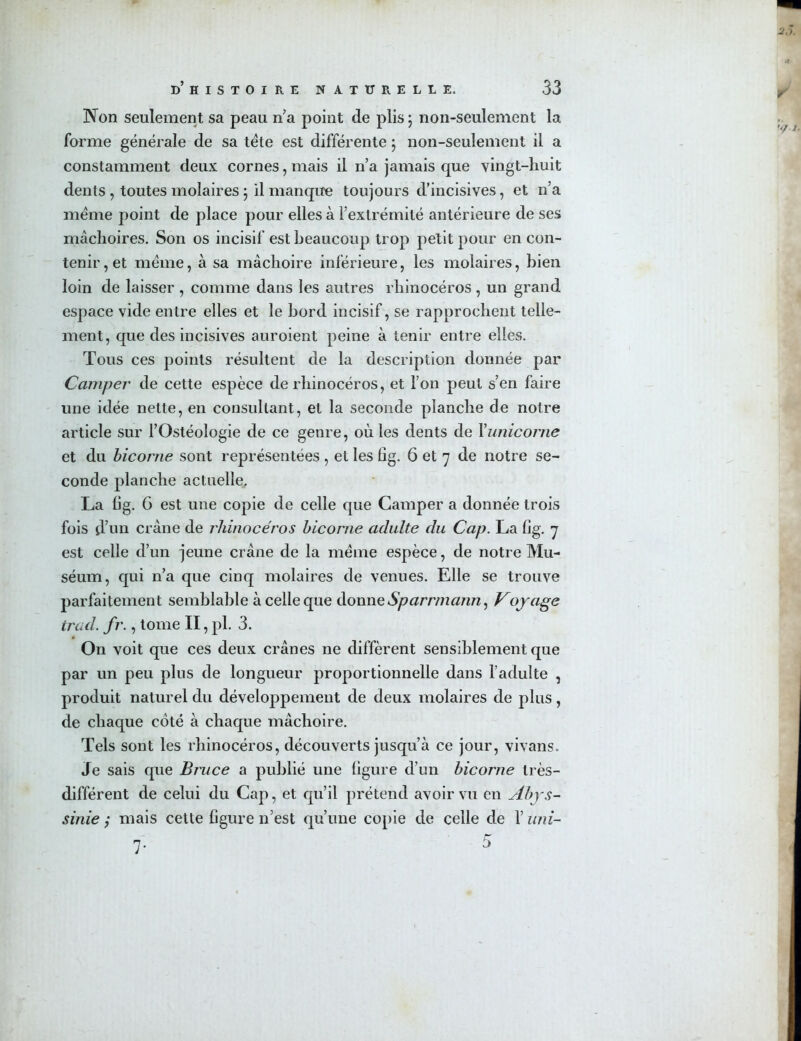 Non seulement sa peau n’a point de plis ; non-seulement la forme générale de sa tête est différente ; non-seulement il a constamment deux cornes, mais il n’a jamais que vingt-huit dents, toutes molaires ; il manque toujours d’incisives, et n’a même point de place pour elles à l’extrémité antérieure de ses mâchoires. Son os incisif est beaucoup trop petit pour en con- tenir , et même, à sa mâchoire inférieure, les molaires, bien loin de laisser , comme dans les autres rhinocéros , un grand espace vide entre elles et le bord incisif, se rapprochent telle- ment, que des incisives auroient peine à tenir entre elles. Tous ces points résultent de la description donnée par Camper de cette espèce de rhinocéros, et l’on peut s’en faire une idée nette, en consultant, et la seconde planche de notre article sur l’Ostéologie de ce genre, oùles dents de Yunicorne et du bicorne sont représentées , et les fig. 6 et 7 de notre se- conde planche actuelle, La lig. 6 est une copie de celle que Camper a donnée trois fois d’un crâne de rhinocéros bicorne adulte du Cap. La lig. 7 est celle d’un jeune crâne de la même espèce, de notre Mu- séum, qui n’a que cinq molaires de venues. Elle se trouve parfaitement semblable à celle que donne Sparrmann, Voyage trad. fr., tome II, pl. 3. On voit que ces deux crânes ne diffèrent sensiblement que par un peu plus de longueur proportionnelle dans l’adulte , produit naturel du développement de deux molaires de plus, de chaque côté à chaque mâchoire. Tels sont les rhinocéros, découverts jusqu’à ce jour, vivans. Je sais que Bruce a publié une ligure d’un bicorne très- différent de celui du Cap, et qu’il prétend avoir vu en Abys- sinie ; mais cette ligure 11’est qu’une copie de celle de l’uni-