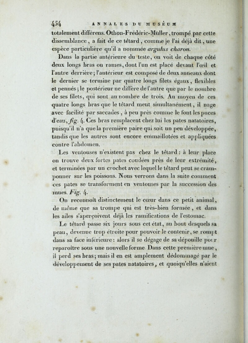 totalement différens. Othon-Frédéric-Müller, trompé par cette dissemblance , a fait de ce têtard , comme je l’ai déjà dit, une espèce particulière qu’il a nommée argulus charon. Dans la partie antérieure du teste, on voit de chaque côté deux longs bras ou rames, dont l’un est placé devant l’œil et l’autre derrière 5 l’antérieur est composé de deux anneaux dont le dernier se termine par quatre longs filets égaux, flexibles et pennés 5 le postérieur ne diffère de l’autre que par le nombre de ses filets, qui sont au nombre de trois. Au moyen de ces quatre longs bras que le têtard meut simultanément, il nage avec facilité par saccades , à peu près comme le font les puces d’eau, fi g. l\. Ces bras remplacent chez lui les pâtes natatoires, puisqu’il n’a que la première paire qui soit un peu développée, tandis que les autres sont encore emmaillotées et appliquées contre l’abdomen. Les ventouses n’existent pas chez le têtard : à leur place on trouve deux fortes pâtes coudées près de leur extrémité, et terminées par un crochet avec lequel le têtard peut se cram- ponner sur les poissons. Nous verrons dans la suite comment ces pâtes se transforment en ventouses par la succession des mues. Fig. 4- On reconnoît distinctement le cœur dans ce petit animal, de même que sa trompe qui est très-bien formée , et dans les ailes s’aperçoivent déjà les ramifications de l’estomac. Le têtard passe six jours sous cet état, au bout desquels sa peau, devenue trop étroite pour pouvoir le contenir, se rompt dans sa face inférieure : alors il se dégage de sa dépouille pour reparoître sous une nouvelle forme Dans cette première mue , il perd ses bras ; mais il en est amplement dédommagé par le développement de ses pâtes natatoires, et quoiqu’elles n’aient