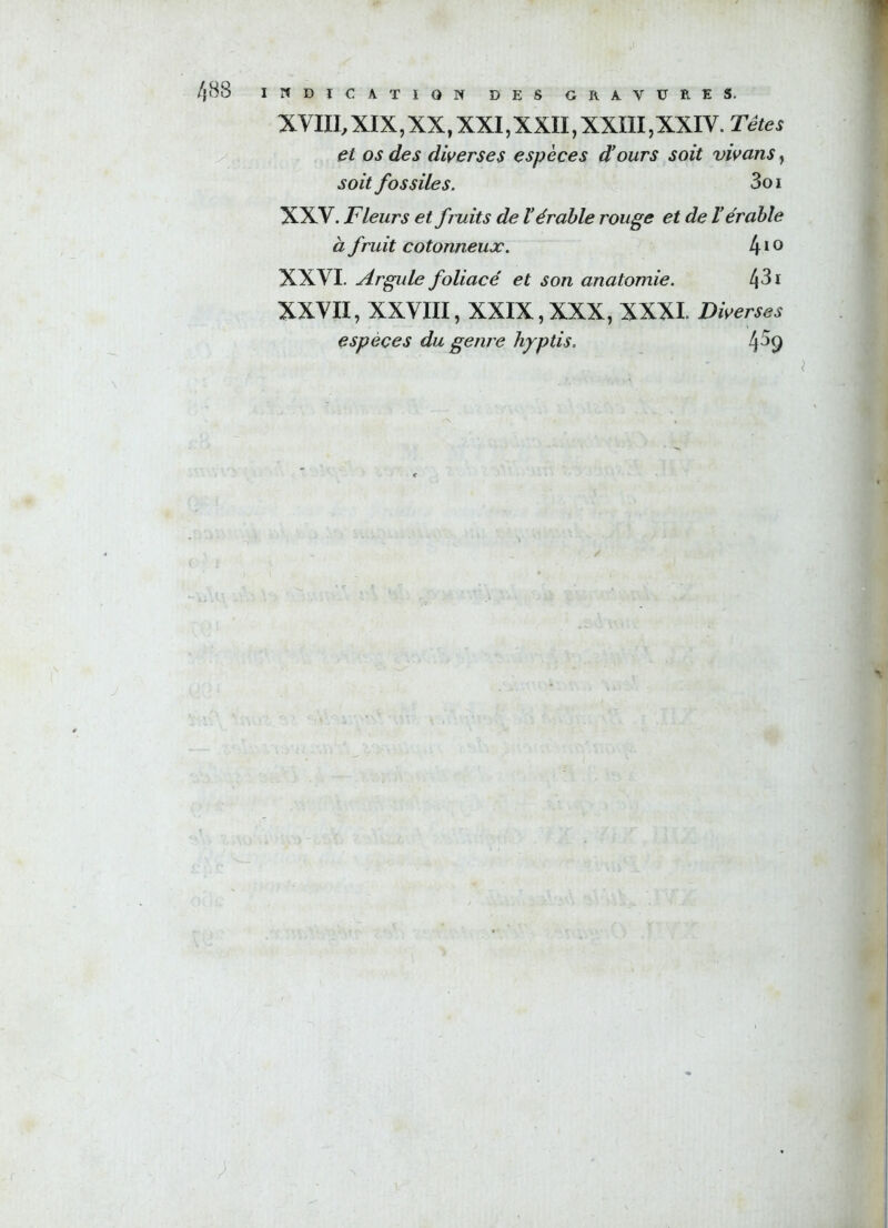 /{88 INDICATION DES GRAVURES. XVIII, XIX, XX, XXI, XXII, XXIII, XXIV. Têtes et os des diverses espèces d'ours soit vivons, soit fossiles. 3o i XXV. Fleurs et fruits de l'érable rouge et de l'érable à fruit cotonneux. 410 XXVI. Argule foliacé et son anatomie. 431 XXVII, XXVIII, XXIX,XXX, XXXI. Diverses espèces du genre hyptis. 4%