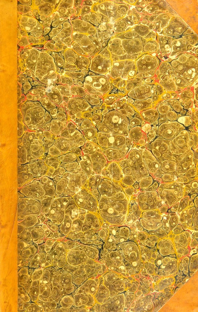 digitised image 1