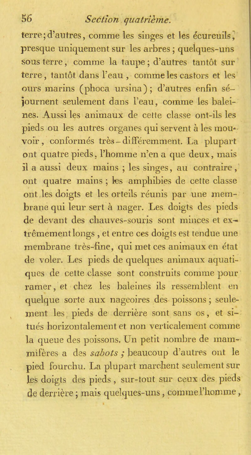 terre;d’autres, comme les singes et les écureuils, presque uniquement sur les arbres ; quelques-uns sous terre, comme la taupe; d’autres tantôt sur terre, tantôt dans l’eau , comme les castors et les ours marins (phoca ursina); d’autres enfin sé- journent seulement dans l’eau, comme les balei- nes. Aussi les animaux de cette classe ont-ils les pieds ou les autres organes qui servent à les mom voir, conformés très-différemment. La plupart ont quatre pieds, l’homme n’en a que deux, mais il a aussi deux mains ; les singes, au contraire, ont quatre mains ; les amphibies de cette classe ont des doigts et les orteils réunis par une mem- brane qui leur sert à nager. Les doigts des pieds de devant des chauves-souris sont minces et ex- trêmement longs , et entre ces doigts est tendue une membrane très-fine, qui met ces animaux en état de voler. Les pieds de quelques animaux aquati- ques de cette classe sont construits comme pour ramer, et chez les baleines ils ressemblent en quelque sorte aux nageoires des poissons ; seule- ment les, pieds de derrière sont sans os, et si- tués horizontalement et non verticalement comme la queue des poissons. Un petit nombre de mam- mifères a des sabots ; beaucoup d’autres ont le pied fourchu. La plupart marchent seulement sur les doigts des pieds , sur-tout sur ceux des pieds de derrière ; mais quelques-uns, comme l’homme,