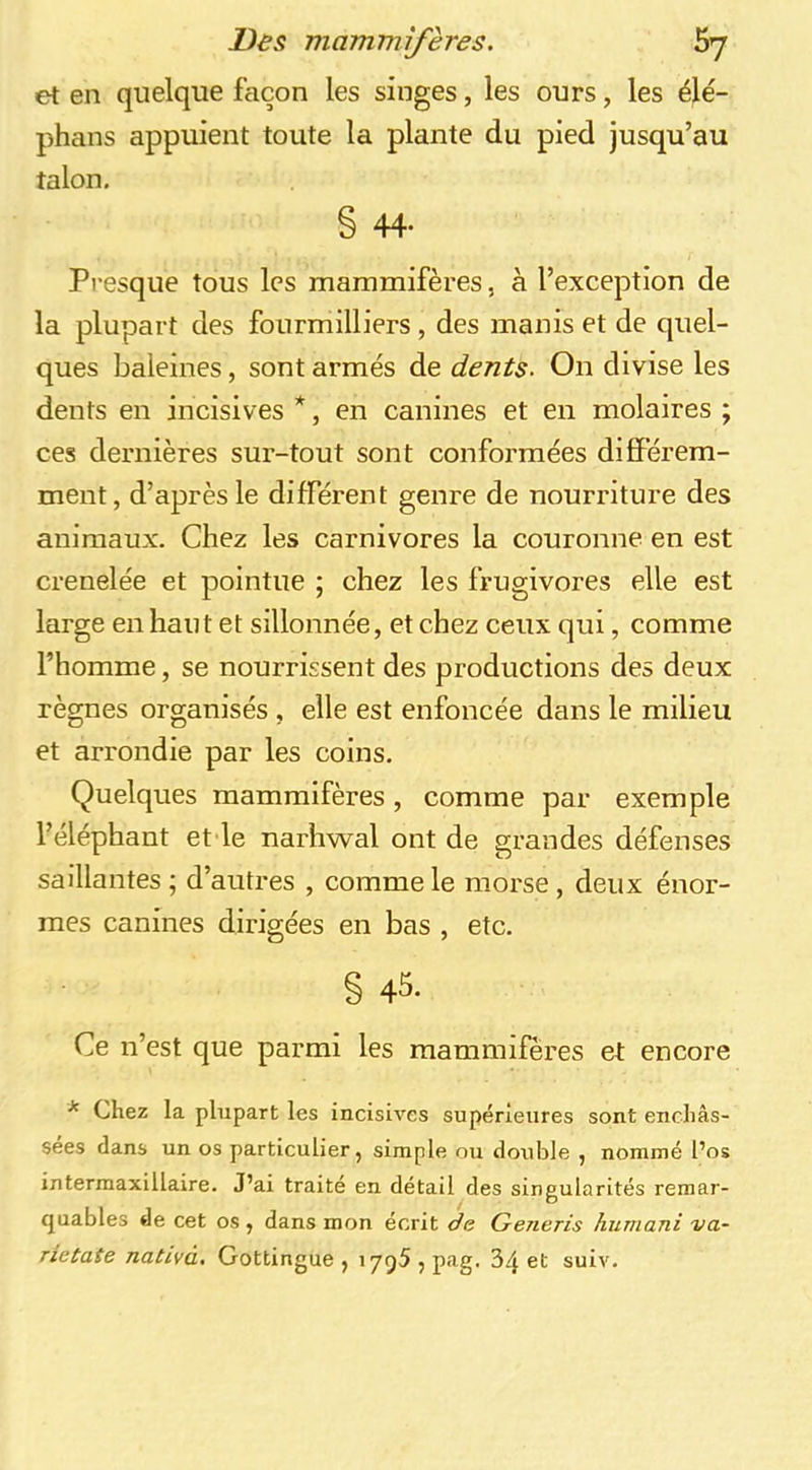 et en quelque façon les singes, les ours, les élé- phans appuient toute la plante du pied jusqu’au talon. § 44- Presque tous les mammifères, à l’exception de la plupart des fourmilliers , des manis et de quel- ques baleines, sont armés de dents. On divise les dents en incisives *, en canines et en molaires ; ces dernières sur-tout sont conformées diËFérem- ment, d’après le différent genre de nourriture des animaux. Chez les carnivores la couronne en est crenelée et pointue ; chez les frugivores elle est large en haut et sillonnée, et chez ceux qui, comme l’homme, se nourrissent des productions des deux règnes organisés , elle est enfoncée dans le milieu et arrondie par les coins. Quelques mammifères, comme par exemple l’éléphant et le narhwal ont de grandes défenses saillantes ; d’autres , comme le morse , deux énor- mes canines dirigées en bas , etc. § 45. Ce n’est que parmi les mammifères et encore * Chez la plupart les incisives supérieures sont enchâs- sées dans un os particulier, simple ou double , nommé l’os intermaxillaire. J’ai traité en détail des singularités remar- quables de cet os, dans mon écrit de Generis humani va- rietate nativà, Gottingue , i795,pag. 34 et suiv.