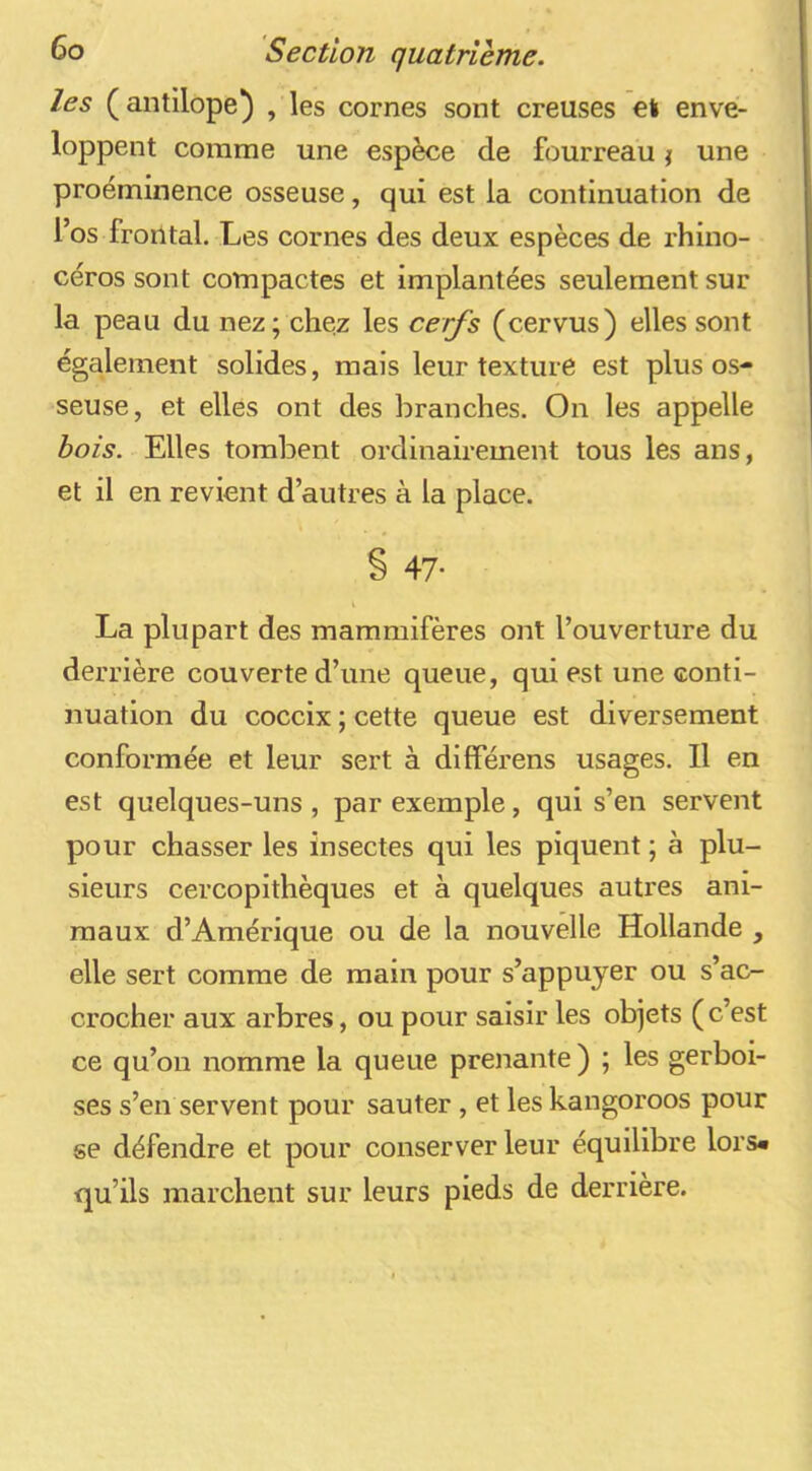les (antilope) , les cornes sont creuses el enve- loppent comme une espèce de fourreau j une proéminence osseuse, qui est la continuation de l’os frontal. Les cornes des deux espèces de rhino- céros sont compactes et implantées seulement sur la peau du nez; chqz les cerfs (cervus) elles sont également solides, mais leur texture est plus os- seuse, et elles ont des branches. On les appelle bois. Elles tombent ordinairement tous les ans, et il en revient d’autres à la place. § 47* La plupart des mammifères ont l’ouverture du derrière couverte d’une queue, qui est une conti- nuation du coccix ; cette queue est diversement conformée et leur sert à différens usages. Il en est quelques-uns , par exemple, qui s’en servent pour chasser les insectes qui les piquent ; à plu- sieurs cercopithèques et à quelques autres ani- maux d’Amérique ou de la nouvelle Hollande , elle sert comme de main pour s’appuyer ou s’ac- crocher aux arbres, ou pour saisir les objets ( c’est ce qu’on nomme la queue prenante ) ; les gerboi- ses s’en servent pour sauter, et leskangoroos pour se défendre et pour conserver leur équilibre lors» qu’ils marchent sur leurs pieds de derrière.