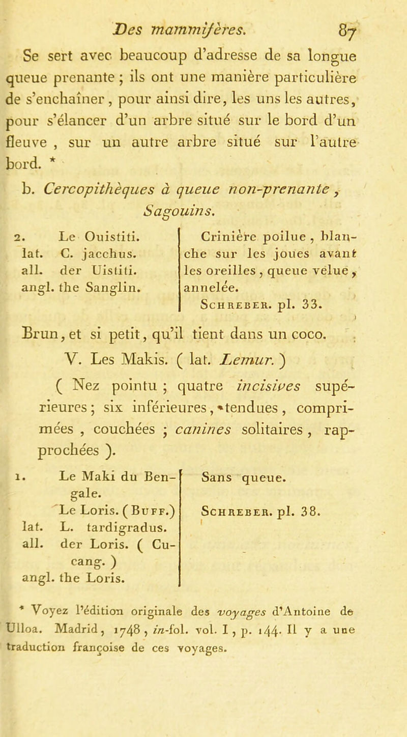 Se sert avec beaucoup d’adresse de sa longue queue prenante ; ils ont une manière particulière de s’enchaîner , pour ainsi dire, les uns les autres, pour s’élancer d’un arbre situé sur le bord d’un fleuve , sur un autre arbre situé sur l’autre bord. * b. Cercopithèques à queue non-prenante ^ Sagouins. 2. Le Ouistiti, lat. G. jacchus. ail. der Uisliti. angl. the Sanglin. Crinière poilue , blan- che sur les joues avant les oreilles , queue velue , annelée. SCHREBER. pl. 33. Brun, et si petit, qu’il tient dans un coco. V. Les Makis. ( lat. Ijcrnur. ) , ( Nez pointu ; quatre incisives supé- rieures ; six inférieures, ♦tendues , compri- mées , couchées ; canines solitaires , rap- prochées ). 1. Le Maki du Ben- Sans queue, gale. 'Le Loris. ( Buff.) Schreber. pl. 38. lat. L. tardigradus. ' ail. der Loris. ( Cu- cang. ) angl. the Loris. ■* Voyez l’édition originale des voyages d’Antoine de Uüoa. Madrid, 1748 , in-io\. vol. I , p. i44- H y a une traduction fraiiçoise de ces voyages.
