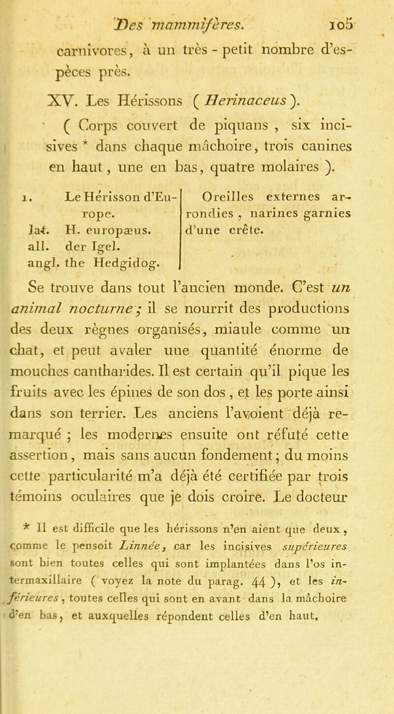 carnivores, à un très - petit nombre d’es- XV. Les Hérissons ( Herinaceus ). ' ( Corps couvert de piquans , six inci- sives * dans chaque mâchoire, trois canines en haut, une en bas, quatre molaires ). ail. der Igel. angl. the Hedgidog. Se trouve dans tout l’ancien monde. C’est un animal nocturne ; il se nourrit des productions des deux règnes organisés, miaule comme un chat, et peut avaler une quantité énorme de mouches cantharides. Il est certain qu’il pique les fruits avec les épines de son dos , et les porte ainsi dans son terrier. Les anciens l’avoient déjà re- marqué ; les modprnes ensuite ont réfuté cette / assertion, mais sans aucun fondement; du moins cette particularité m’a déjà été certifiée par trois témoins oculaires que je dois croire. Le docteur * Il est difficile que les hérissons n’en aient que deux, comme le pensoit Linnée, car les incisives supérieures sont bien toutes celles qui sont implantées dans l’os in- termaxillaire ( voyez la note du parag, 44 férieures toutes celles qui sont en avant dans la mâchoire d’en bas, et auxquelles répondent celles d’en haut. pèces près. a. Le Hérisson d’Eu- Oreilles externes ar- rondies , narines garnies d’une crête. rope. laL H. europæus.