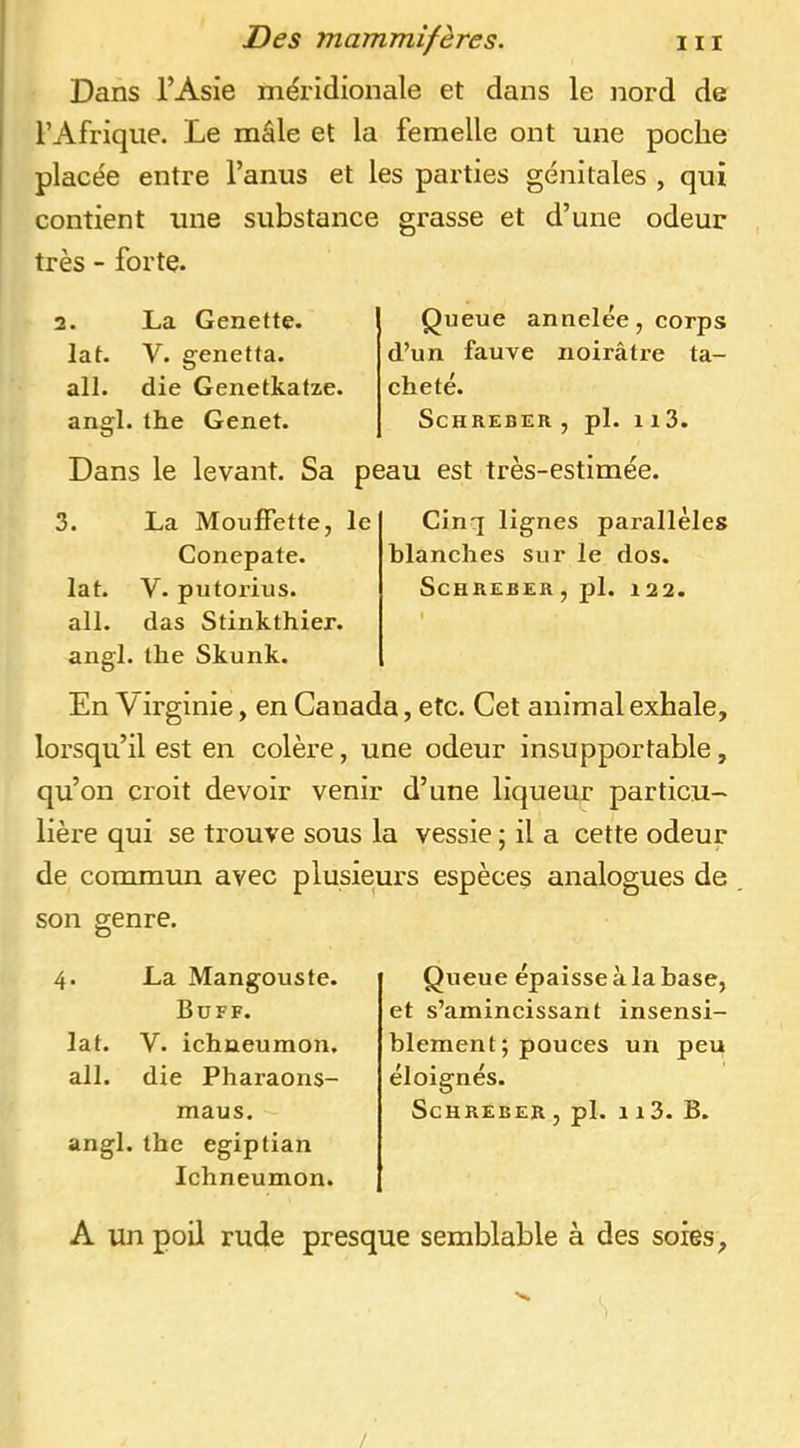 Dans l’Asie méridionale et dans le nord de l’Afrique. Le mâle et la femelle ont une poche placée entre l’anus et les parties génitales , qui contient une substance grasse et d’une odeur très - forte. 2. La Genette. lat. V. genetta. ail. die Genetkatze. angl. the Genet. Queue annelée, corps d’un fauve noirâtre ta- cheté. ScHREBER , pl. Il3. Dans le levant. Sa peau est très-estimée. 3. La Mouffette, le Conepate. lat. V. putorius. ail. das Stinkthier. angl. the Skunk. Cinq lignes parallèles blanches sur le dos. ScHREBER, pl. 122. En Virginie, en Canada, etc. Cet animal exhale, lorsqu’il est en colère, une odeur insupportable, qu’on croit devoir venir d’une liqueur particu- lière qui se trouve sous la vessie ; il a cette odeur de commun avec plusieurs espèces analogues de son genre. 4. La Mangouste. Buff. lat. V. ichneumon. ail. die Pharaons- maus. angl. the egiptian Ichneumon. Queue épaisse à la base, et s’amincissant insensi- blement; pouces un peu éloignés. ScHREBER, pl. ii3. B. A un poil rude presque semblable à des soies. /