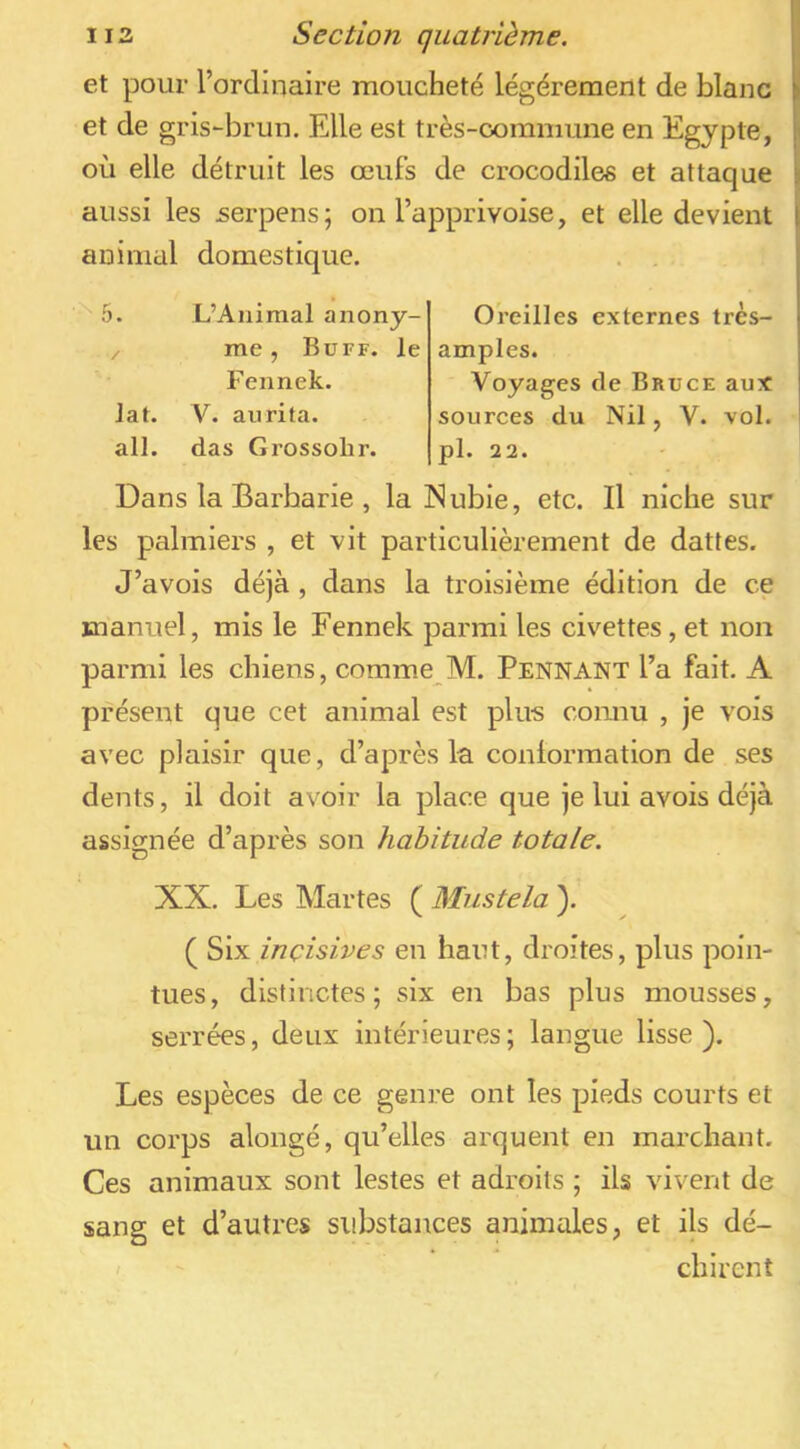 et pour l’ordinaire moucheté légèrement de blanc et de gris-brun. Elle est très-commune en Egypte, où elle détruit les œufs de crocodiles et attaque aussi les serpens; on l’apprivoise, et elle devient animal domestique. Jat. ail. L’Animal anony- me , Büff. le Fennek. V. au ri ta. das Grossobr. Oreilles externes très- amples. Voyages de Bruce aux sources du Nil, V. vol. pl. 22. Dans la Barbarie , la Nubie, etc. Il niche sur les palmiers , et vit particulièrement de dattes. J’avois déjà , dans la troisième édition de ce manuel, mis le Fennek parmi les civettes, et non parmi les chiens, comme M. Pennant l’a fait. A présent que cet animal est plus connu , je vois avec plaisir que, d’après la conlormation de ses dents, il doit avoir la place que je lui avois déjà assignée d’après son habitude totale. XX. Les Martes ( Mustela ). ( Six incisives en haut, droites, plus poin- tues, distinctes; six en bas plus mousses, serrées, deux intérieures; langue lisse). Les espèces de ce genre ont les pieds courts et un corps alongé, qu’elles arquent en marchant. Ces animaux sont lestes et adroits ; ils vivent de sang et d’autres substances animales, et ils dé- ' chirent