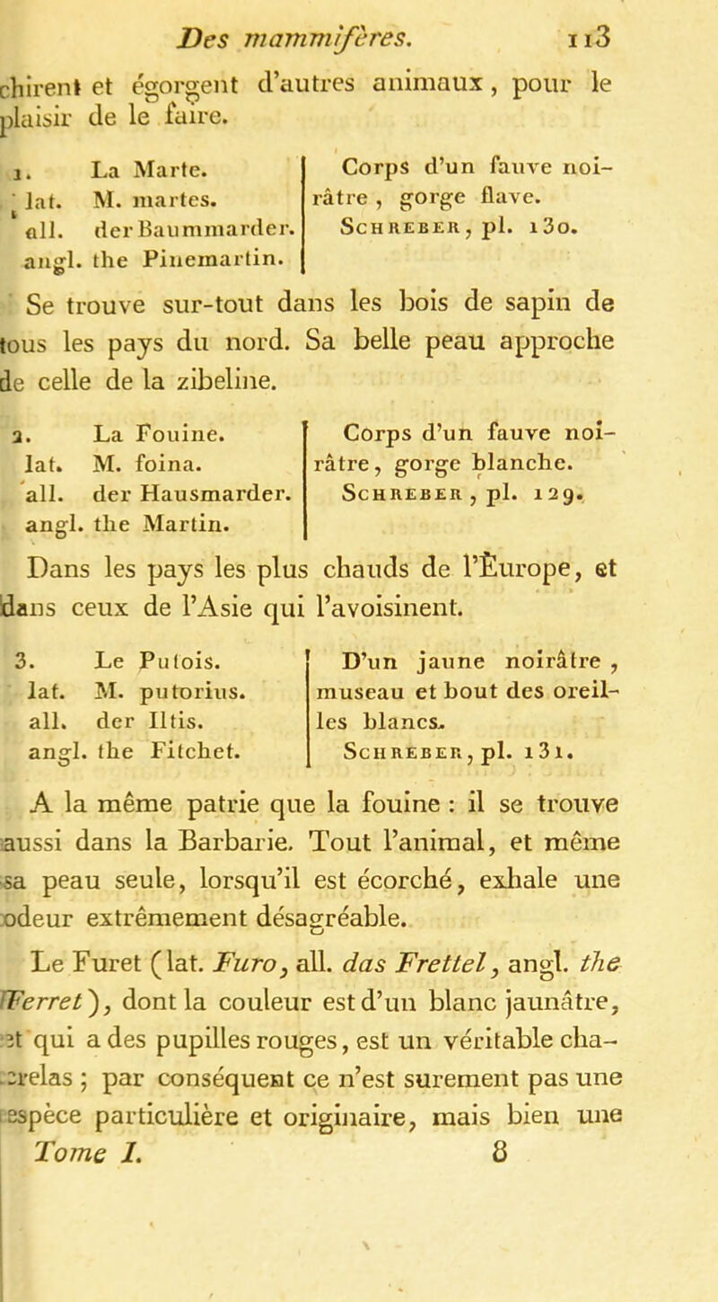 chiren» et égorgent d’autres animaux , pour le plcUSir de le iaire. 1. La Marte. ■ lat. M. martes, ûll. (1er Bail mmarder. aiigl. the Piiiemartin. Corps d’un fauve noi- râtre , gorge flave. ScHREBERjpl. l3o. Se trouve sur-tout dans les bois de sapin de tous les pays du nord. Sa belle peau approche de celle de la zibeline. 3. La Fouine, lat. M. foina. ail. der Hausmarder. angl. the Martin. Dans les pays les plus dans ceux de l’Asie qui 3. Le Putois, lat. M. putorius. ail. der Iltis. angl. the Fitchet. Corps d’un fauve noi- râtre , gorge blanche. ScHREBER , pl. 129. chauds de l’Èurope, et l’avoisinent. D’un jaune noirâtre , museau et bout des oreil- les blancs. ScHREBERjpl. l3l. A la même patrie que la fouine : il se trouve aussi dans la Barbarie. Tout l’animal, et même ■sa peau seule, lorsqu’il est écorché, exhale une »deur extrêmement désaorréable. O Le Furet (lat. Furo, ail. das Frettel, angl. the Werret'), dont la couleur est d’un blanc jaunâtre, 2t qui a des pupilles rouges, est un véritable cha- -2relas ; par conséquent ce n’est sûrement pas une 1 espèce particulière et originaire, mais bien une Tome 1. 8