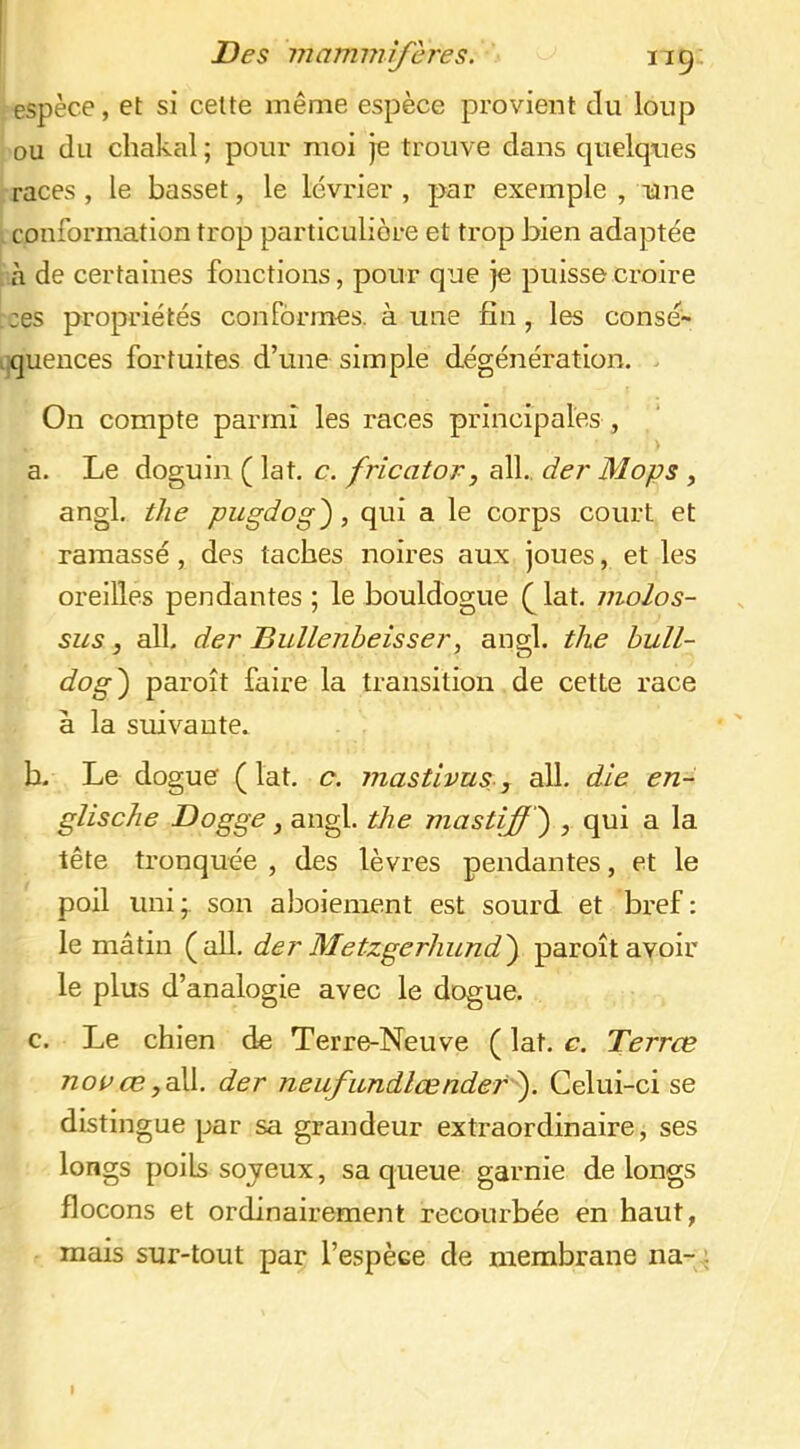 espèce, et si cette même espèce provient du loup ou du chakal ; pour moi je trouve dans cpielqties races , le basset, le lévrier , par exemple , une conformation trop particulière et trop bien adaptée a de certaines fonctions, pour que je puisse croire :es propriétés conformes, à une fin, les consé- quences fortuites d’une simple dégénération. . On compte parmi les races principales , a. Le doguin ( lat. c. fricator, ail., der Mops , angl. the pugdog'), qui a le corps court et ramassé, des taches noires aux joues, et les oreilles pendantes; le bouldogue (^lat. molos- siis, ail. der Biillenbeisser, angl. the bull- dog') paroît faire la transition de cette race à la suivante. b. Le dogue (lat. c. mastivus-, ail. die en- glische Dogge, angl. the mastiff ') qui a la tête tronquée , des lèvres pendantes, et le poil uni son aboiement est sourd et bref : le mâtin (ail. der Metzgerhund) paroît avoir le plus d’analogie avec le dogue. c. Le chien de Terre-Neuve ( lat. c. Terrœ 7zoPÆ,all. der neufundlœndef ). Celui-ci se distingue par sa grandeur extraordinaire, ses longs poils sojeux, sa queue garnie de longs flocons et ordinairement recourbée en haut, mais sur-tout par l’espèce de membrane na-