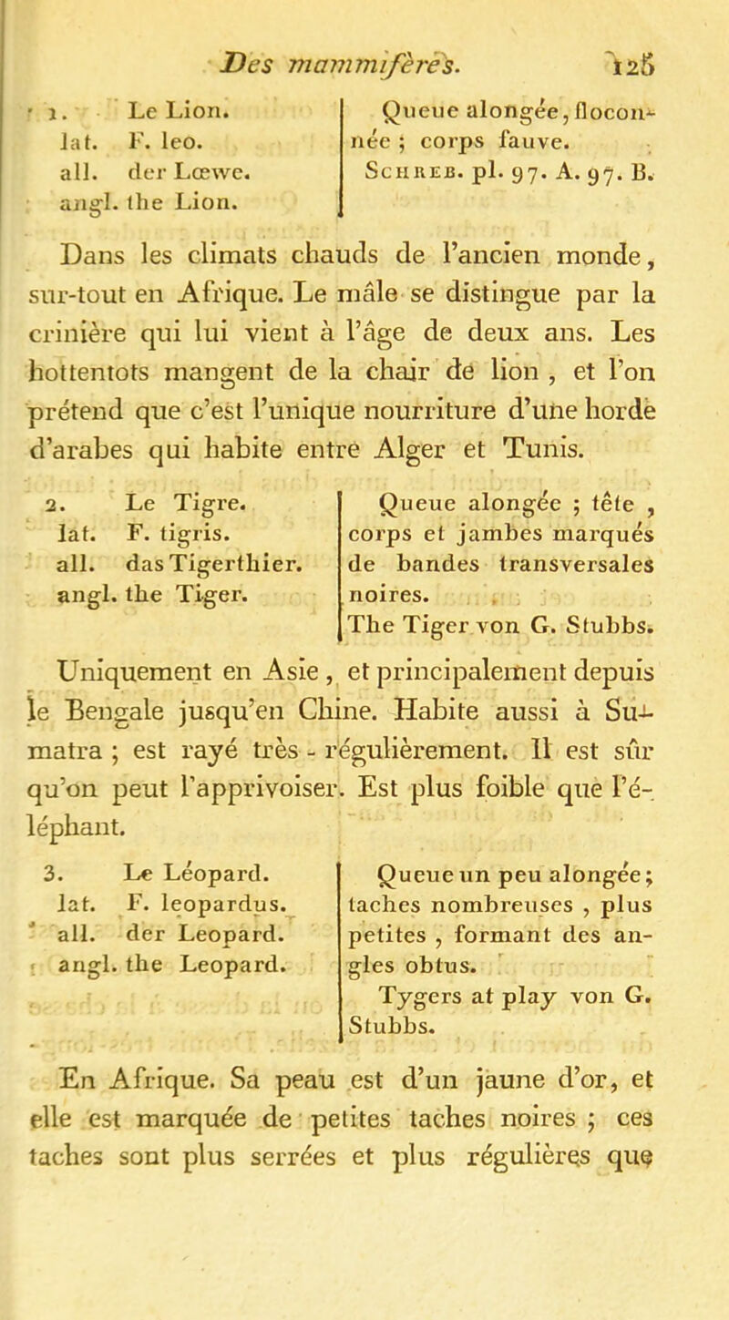 1. Le Lion. Jat. F. leo. ail. der Lœwc. angl. the Lion. Queue alongée, flocon-^ née ; corps fauve. ScuREB. pl. 97. A. 97. B. Dans les climats chauds de l’ancien monde, sur-tout en Afrique. Le mâle se distingue par la crinière qui lui vieil t à l’âge de deux ans. Les hottentots mangent de la chair de lion , et l’on prétend que c’est l’unique nourriture d’une horde d’arabes qui habite entre Alger et Tunis. 2. Le Tigre, lat. F. tigris. ail. das Tigerthier. angl. the Tiger. Queue alongée ; tête , corps et jambes marqués de bandes transversales noires. The Tiger von G. Stuhbs. Uniquement en Asie , et principalement depuis le Bengale jusqu’en Chine. Habite aussi à Su-i- matra ; est rayé très - régulièrement. 11 est sûr qu’on peut l’apprivoiser léphant. 3. Le Léopard, lat. F. leopardus. ail. der Léopard. ■ angl. the Léopard. . Est plus foible que l’é- Queueun peu alongée; taches nombreuses , plus petites , formant des an- gles obtus. Tygers at play von G. Stubbs. En Afrique. Sa peau est d’un jaune d’or, et elle est marquée de petites taches noires ; ces taches sont plus serrées et plus régulières que