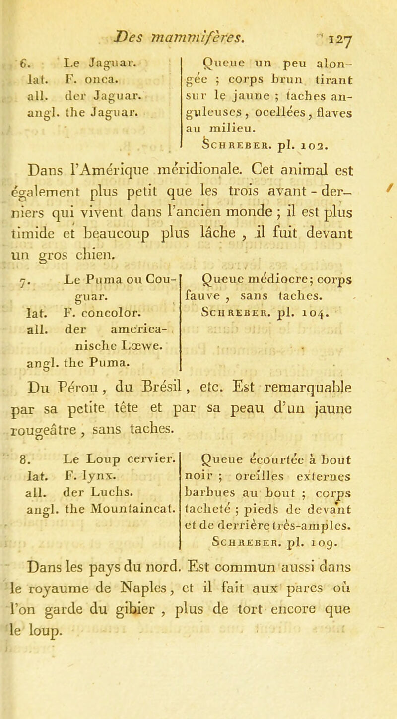 6. I.e Jag'uar. lat. F. oiica. ail. lier Jaguar, angl. Ihe Jaguar. Queue un peu alon- gée ; corps brun lii-ant sur Iç jaune ; taches an- guleuses, ocellées, flaves au milieu. ^CHREBER. pl. 102. Dans l’Amérique méridionale. Cet animal est également plus petit que les trois avant - der- niers qui vivent dans l’ancien monde ; il est plus timide et beaucoup plus lâche , il fuit devant un gros chien. Queue médiocre; corps fauve , sans taches. ScHRERER. pl. 104. Du Pérou, du Brésil, etc. Est remarquable par sa petite tête et par sa peau d’uii jaune rougeâtre , sans taches. Le Puma ou Cou- guar. lat. F. concolor. ail. der america- , nische Lœwe. anffl. the Puma. 8. Le Loup cervier. lat. F. lynx, ail. der Luchs. aiiffl. the Mountaincat. D Queue écourtée à bout noir ; oreilles externes barbues au bout ; corps tacheté ; pieds de deva’nt et de derrière très-amples. ScHREBER. pl. 109. Dans les pays du nord. Est commun aussi dans le royaume de Naples, et il fait aux parcs ou l’on garde du gibier , plus de tort encore que le loup.