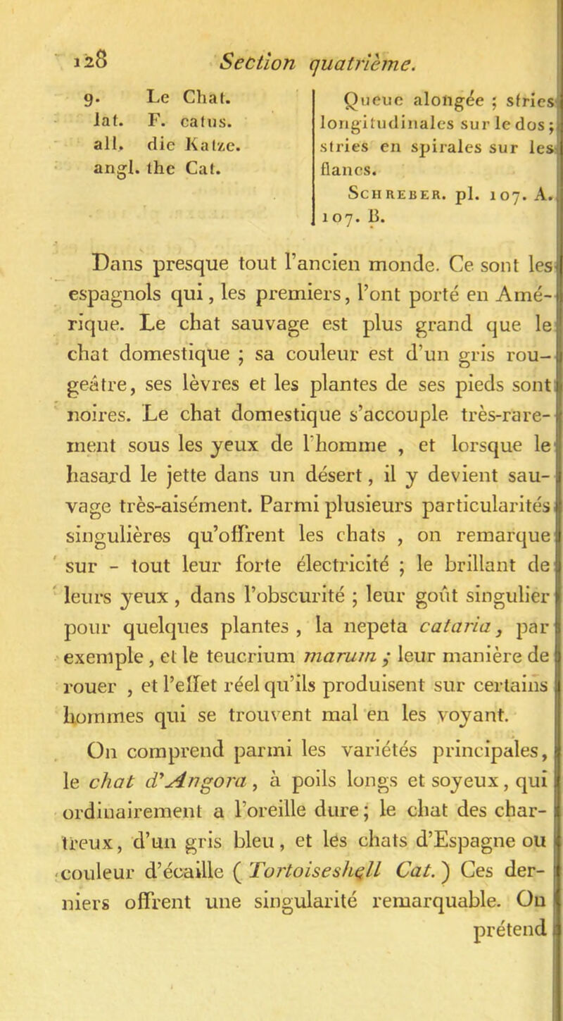 1 i8 Section g. Le Chat, lat. F. catiis. ail. die Kalze. angl. lhe Cat. quatrième. Queue aloligëe ; stries^ longitudinales sur le dos ; stries en spirales sur les- flancs. ScH REBER. pi. 107. A.. 107. B. Dans presque tout l’ancien monde. Ce sont les espagnols qui, les premiers, l’ont porté en Amé- rique. Le chat sauvage est plus grand que le chat domestique ; sa couleur est d’un gris rou- geâtre, ses lèvres et les plantes de ses pieds sont: noires. Le chat domestique s’accouple très-rare- ment sous les jeux de l’homme , et lorsque le' hasard le jette dans un désert, il y devient sau- vage très-aisément. Parmi plusieurs particularités singulières qu’offrent les chats , on remarque! ' sur - tout leur forte électricité ; le brillant de ' leurs yeux, dans l’obscurité ; leur goiit singulier pour quelques plantes, la nepeta cataria, par exemple, et le teucrium marum ,• leur manière de rouer , et l’elïet réel qu’ils produisent sur certains hommes qui se trouvent mal'en les voyant. On comprend parmi les variétés principales,! le chat cTu4ngoj'a, à poils longs et soyeux, qui I ordinairement a l’oreille dure ; le chat des char- I Ireux, d’un gris bleu, et les chats d’Espagne ou • couleur d’écaille ( Tortoisesh^lL Cat. ) Ces der- niers offrent une singularité remarquable. On prétend |