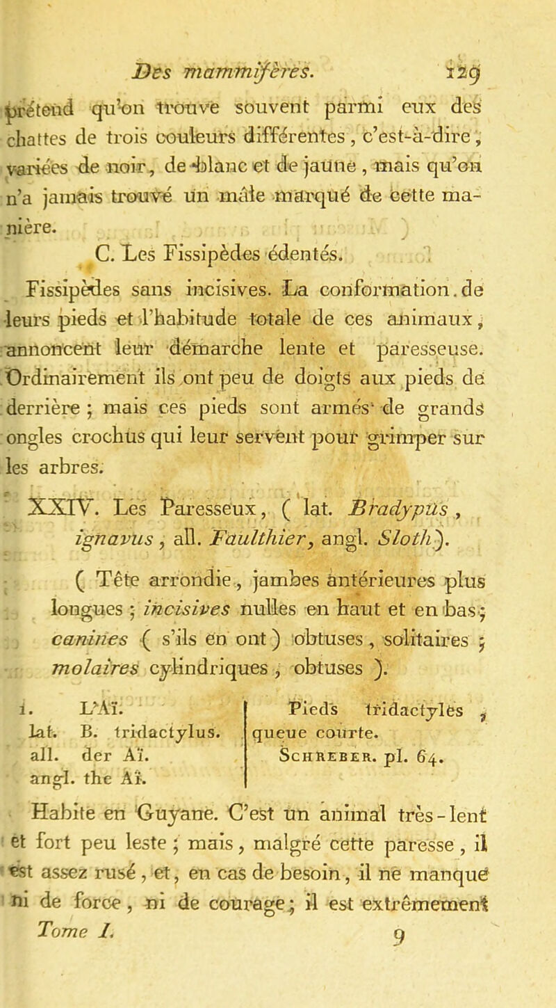 mammifères. ^r^tend qiibn tl’Oîivè souvent parmi eux des chattes de trois couleurs différentes , c’est-à-dire, variées de noir, de *ii)lanc et de jaitne , mais qu’oii n’a jamais trouvé un male marqué de Cette ma- nière. C. Les Fissipèdes édentés. Fissipèdes sans incisives. La conformation, de ■leurs pieds et l’habitude totale de ces animaux, annoncent leur démarche lente et paresseuse. Ordinairement ils ont peu de doigts aux pieds de derrière ; mais ces pieds sont armés‘ de grands ongles crochüs qui leur servent pour grimper sur les arbres. XXIY. Les Paresseux, ( lat. BradjpUs y ignavus , ail. Faulthier, angl. SlotJi^, (Tête arrondie , jambes antérieures plus longues ; incisives nulles en haut et en bas-; canines ■( s’ils en ont ) lobtuses , solitaires 5 molaires cylindriques , obtuses ). LAï. lat. B. trixlactylus. ail. der Aï. ang-l. the Aï. Pieds tridactjlës ^ queue courte. SCHREBER. pl. 64. Habité en Ouyane. C’est un animal très-lent et fort peu leste ; mais, malgré cette paresse, il ést assez rusé , et, en cas de besoin, il nè manqué ni de force Tome I, ni de courage4 11 est extrêmemen'l 9
