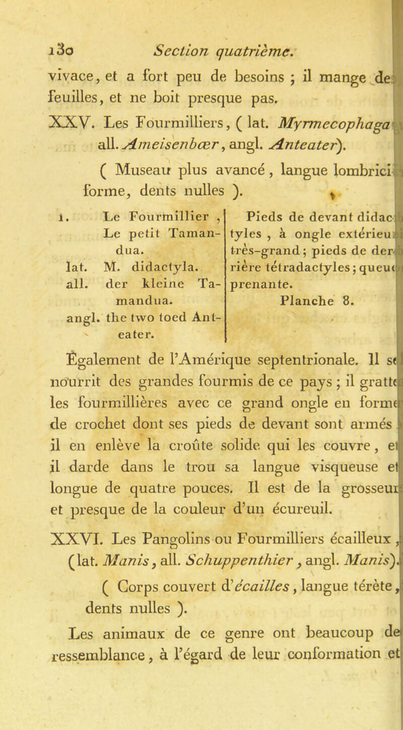 i3o Section quatrième: P vivace, et a fort peu de besoins ; il mange ^dek feuilles, et ne boit presque pas. jj XXV. Les Fourmilllers, ( lat. Myrrnecophaga^ ai\\..yimeisenbœr ^an^. yînteatej^. T ( Museau plus avancé, langue lombriciq forme, dents nulles ). ^ \[ 1. Le Fourmillier , Le petit Taman- dua. lat. M. didactyla. ail. der kleine Ta- mandua. angl. the two toed Ant- ' eater. Également de l’Amérique septentrionale. 11 s« nourrit des grandes fourmis de ce pays ; il grattt les fourmillières avec ce grand ongle en forme de crochet dont ses pieds de devant sont armés il en enlève la croûte solide qui les couvre, et il darde dans le trou sa langue visqueuse et longue de quatre pouces. Il est de la grosseur et presque de la couleur d’un écureuil. XXVI. Les Pangolins ou Fourmilllers écailleux , (lat. Manis, ail. Schuppenthier _, angl. Manis), ( Corps couvert èèécailles, langue térète, dents nulles ). Les animaux de ce genre ont beaucoup de ressemblance, à l’égard de leur conformation et Pieds de devant didacf! tyles , à ongle extérieuj très-grand; pieds de derl rière tétradactyles ; queu(| prenante. Planche 8.