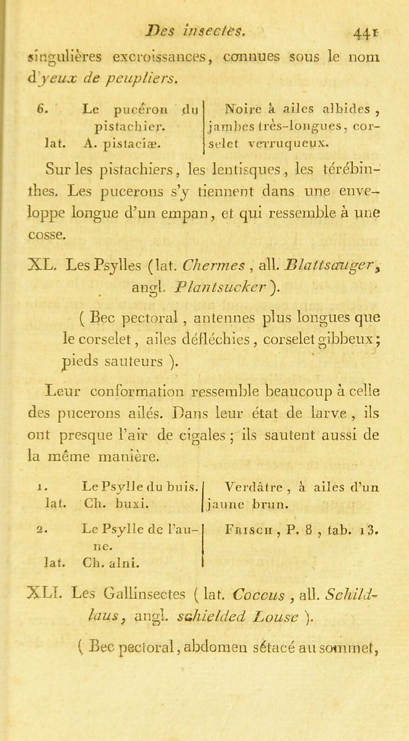 Des bise des. singulières excroissances, cannues sous le nom àyeux de peupliers. 6. lat. Le pucèrou pistachier. A. pistaclæ. du Noire k ailes albides , jam})es très-longues, cor- selet vei’i’u queux. Sur les pistachiers, les lenlisques , les térébin- thes. Les pucerons s’j tiennent clans une enve- loppe longue d’un empan, et qui ressemble à une cosse. XL. LesPsylles (lat. Chermes , ail. Blattscaigery angl. Plantsucker ). ( Bec pectoral, antennes plus longues que le corselet, ailes cléfléchies, corselet gibbeux ; pieds sauteurs ). Leur conformation ressemble beaucoup à celle des pucerons ailés. Dans leur état de larve , ils ont presque l’air de cigales ; ils sautent aussi de la même manière. 1. Le Psjlle du buis. I Verdâtre, k ailes d’un lat. Ch. buxi. |jaune brun. 2. Le Psylle de l’au- ne. lat. Ch. alni. Frisch , P. 8 , tab. i3. XLT. Les Gallinsectes ( lat. Coccus , ail. Schild- laus, angl. sahielded Louse ). ( Bec pectoral, abdomen sétacé au sommet,