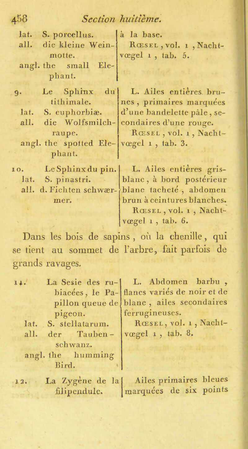 Section lat. S. porcellus. ail. die kleiiie Wein- moüe. angl. the small Elé- phant. 9. Le Sphinx du tithimale. lat. S. cuphorbiæ. ail. die Wolfsmilch- raupe. angl. the spotted Elé- phant. 10. Le Sphinx du pin. lat. S. pinastri. ail. d. Fiehten schwær- mer. Dans les bois de sap se tient au sommet de grands ravages. 1*.' La Sesie des ru- biaeées, le Pa- pillon queue de pigeon. lat. S. stellatarura. ail. der Tauhen- sehwanz. angl. the huinming Bird. i2. La Zygène de la JGilipeaidulc. huitième. à la base. RœseLjVoI. 1 jNaeht- vœgel 1 , tab. 5. L. Ailes entières bru- nes , primaires marquées d’une bandelette pâle, se- condaires d’une rouge. Rœsel , vol. 1 , Nacht- vœgel 1 , tab. 3. L. Ailes entières gris- blanc , à bord postérieur blanc tacheté , abdomen brun à ceintures blanches. Rœsel , vol. \ , Nacht- vœgel 1 , tab. 6. is , oit la chenille, qui l’arbre, fait parfois de L. Abdomen barbu , flancs variés de noir et de blanc , ailes secondaires ferrugineuses. Rœsel, vol. 1 , Naclit- vœgel 1 , tab. 8. Ailes primaires bleues marquées de six points