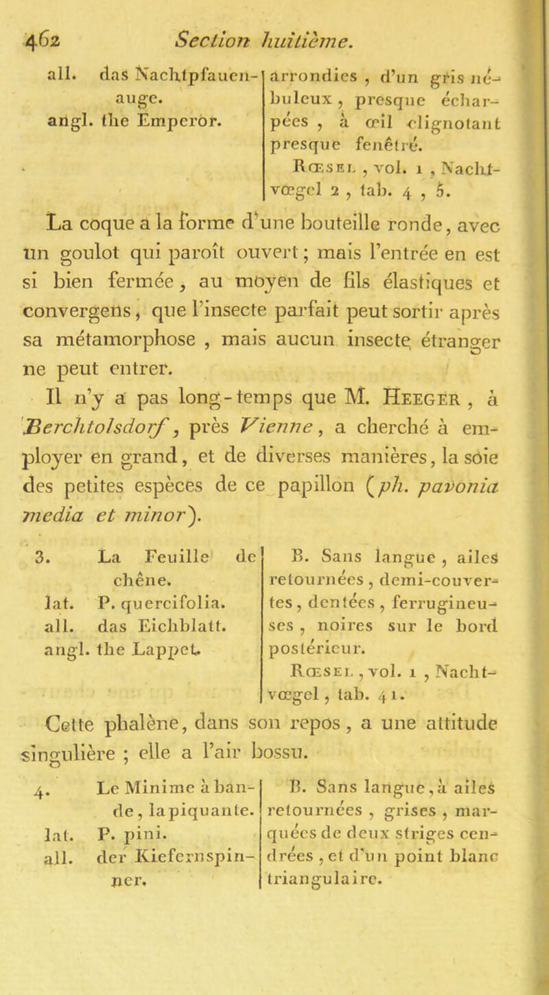 ail. rlaS Naclxtpfaucn- augc. arlgl. tlie Emperôr. arrondies , d’un gris né-> bulcux , presque échar- pées , à œil elignotanfc presque fenêlré. Rœsel , vol. 1 , Naclil- vœgel 2 , lah. 4 , ô. La coque a la forme d’une bouteille ronde, avec un goulot qui paroît ouvert ; mais l’entrée en est si bien fermée, au moyen de fils élastiques et convergeiis, que l’insecte paj’fait peut sortir après sa métamorphose , mais aucun insecte étranger ne peut entrer. Il n’y a pas long-temps que M. Heegér , à jBerclitohdorf, près Vienne ^ a cherché à em- ployer en grand, et de diverses manières, la soie des petites espèces de ce^papillon {^ph. pavonia media et minor^. 3. La Feuille de chêne. lat. P. quercifolia. ail. das Eichblatt. angl. the Lappet. Cette phalène, dans s singulière ; elle a l’air 1 4. Le Minime à ban- de , lapiquante. lat. P. pini. ail. der ICiefcrnspin- jier. B. Sans langue , aileS retournées, demi-couver- tes , dentées, ferrugineu- ses , noires sur le bord postérieur. Rœsel. , vol. 1 , Nacht- vœgcl, tab. 41. in repos, a une attitude DSSU. B. Sans langue,à ailes retournées , grises , mai*- quécs de deux sti’iges cen- drées , et d’un point blanc triangulaire.