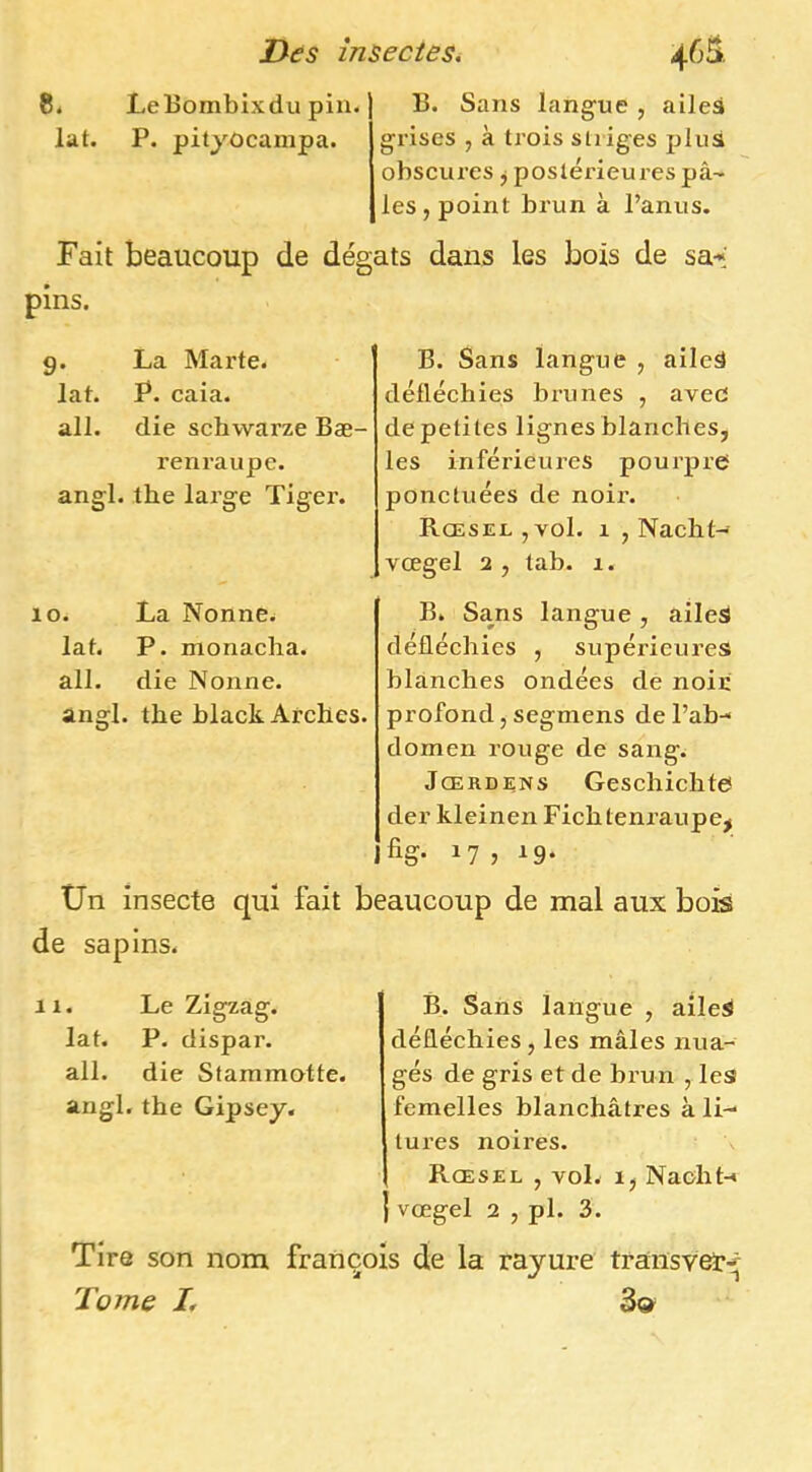 8. Lelàombixdu pin. lat. P. pityocampa. B. Sans langue , ailes grises , à trois slriges plus obscures j postérieures pâ~ les , point brun à l’anus. Fait beaucoup de dégâts dans les bois de sa.-* pins. g. La Marte, lat. P. caia. ail. die schvvarze Bæ- renraupe. angl. the large Tiger. 10. La Nonne^ lat. P. monacha. ail. die Nonne, angl. the black Arches. B. Sans langue , aileS défléchies brunes , avec de petites lignes blanches, les inférieures pourpre ponctuées de noir. Rœsel,vo1. 1 , Nacht- vœgel 2 , tab. 1. B. Sans langue, aileS défléchies , supérieures blanches ondées de noir profond, segmens de l’ah- domen rouge de sang. Jœrdens Geschichte der kleinen Fichtenraupe, %• 175 ^9- Ün insecte qui fait beaucoup de mal aux bois de sapins. B. Sans langue , ailes défléchies , les mâles nua- gés de gris et de brun , les femelles blanchâtres à li- turcs noires. Rœsel , vol. 1, Naoht-* { vœgel 2 , pl. 3. Tire son nom François de la rayure transvet^ Tome I, 3» 11. Le Zigzag, lat. P. dispar. ail. die Stammotte. angl. the Gipsey.