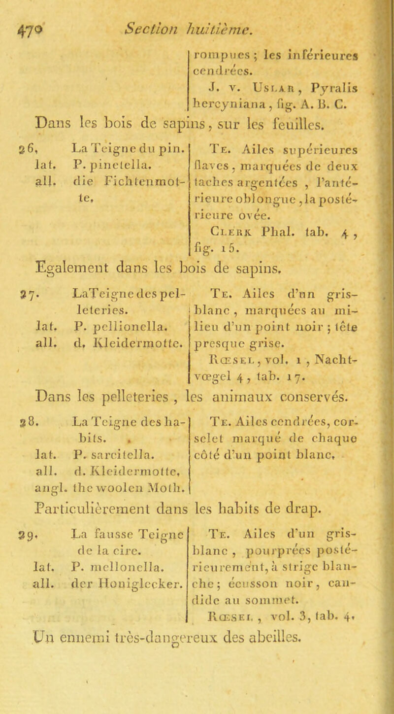 rompues; les inférieures cendj’écs. J. V. UsLA.n, Pyralis hercyniana , fig. A. li. C. Dans les bois de sapins, sur les feuilles. 26, La Teigne du pin. P. pinelella. die Fichteiimot- te. lat. ail. Te. Ailes supérieures (laves, marquées de deux taches argentées , l’anté- rieure oblongue ,laposlé- rieurc ovée. Clerk. Phal. tab. 4 , fig. i5. Egalement dans les bois de sapins, 27. LaTeigne des pel- Te. Ailes d’nn gris- blanc , marquées au mi- lieu d’un point noir ; tête presque grise. Rœsel,vo1. 1 , Nacht- vœgel 4 , tab. 17. Dans les pelleteries , les animaux conservés. lat. ail. LaTeigne des pel- leteries. P. pellionclla. d, lUeidermotte. 28. La Teigne des ha- bits. . lat. P. sarcitella. ail. d. Kleidermotte, angl. tbcwoolcn Molli. Particulièrement dans les habits de drap. Te. Ailes cendrées, cor- selet mai-qué de chaque côté d’un point blanc. 29, La fausse Teigne de la cire. lat. P. nicllonclla. ail. der Houiglccker. Te. Ailes d'un gris- blanc , pourprées poslé- rieuremént, à strige blan- che ; écusson noir, can- dide au sommet. IlcESEt. , vol. 3, tab. 4, Un ennemi très-dangereux des abeilles.