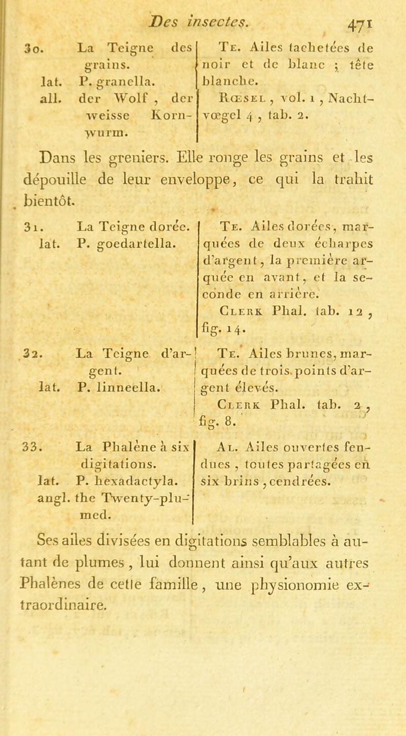 3o. lat. ail. 471 La Teigne des grains. P. eranella. O der Wolf , der ■vveisse Korn- >vnrni. Te. Ailes tache(ées de noir et de blanc ; tête blanche. Rœsel , A'Ol. 1 , Nachl- vœgel 4 , tab. 2. Dans les greniers. Elle ronge les grains et les dépouille de leur enveloppe, ce qui la trahit bientôt. 3i. lat. 32. La Teigne dorée. P. goedartella. Te. Ailes dorées, mar- quées de deux écharpes d’argent, la première ar- quée en avant, et la se- conde en arrière. Clerk Pliai, tab. 12 , fl 14. lat. La Teigne d’ar-' gent. P. linneella. Te. Ailes brunes, mar- quées de trois.poinls d’ar- tab. 2 , gent élevés. fl! Clerk Phal. f R J 33. La Phalène à six digitations, lat. P. hèxadaetyla. angl. the Tvventy-plu- med. Al. Ailes ouvertes fen- dues , toutes partagées en. six brins , cendrées. Ses ailes divisées en digitations semblables à au- tant de plumes , lui donnent ainsi qu’aux autres Phalènes de celle famille, une physionomie ex- traordinaire.