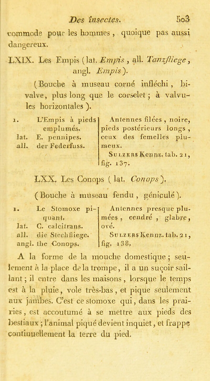 r.ommode pour les hommes , quoique pas aussi dangereux. i O LXIX. Les Empis ( lat. Empis , ail. Tavzfliege, angl. Empis'). (Bouche à museau corné infléchi , bi- valve, plus long que le corselet ; à valvu- les horizontales ). 1. L’Empis à pieds emplumés, lat. E. pcmiipes. ail. der Federfuss. Antennes filées , noire, pieds postérieurs longs , ceux des femelles plu- meux. S U LZE us Kennz. tab. 21, fig. iSy. LXX. Les Conops (lat. Conops). (Bouche à museau fendu, génlculé). 1. Le Stomoxe pi- quant. lat. C. calcitrans. ail. die Stechfliege. angl. the ■Conops. Antennes presque plu- mées , cendré , glabre, ové. SuLZEBsIïennz. tab. 21, fig. i38. A la forme de la mouche domestique ; seu- lement à la place delà trompe, il a un suçoir sail- lant ; il entre dans les maisons , lorsque le temps est à la pluie, vole trèsrbas , et pique seulement aux jambes. C’est ce stomoxe qui, dans les prai- ries , est accoutumé à se mettre aux pieds des ]>est!aux ; l’animal piqué devient inquiet, et frappe çontiuuellement la terre du pied.