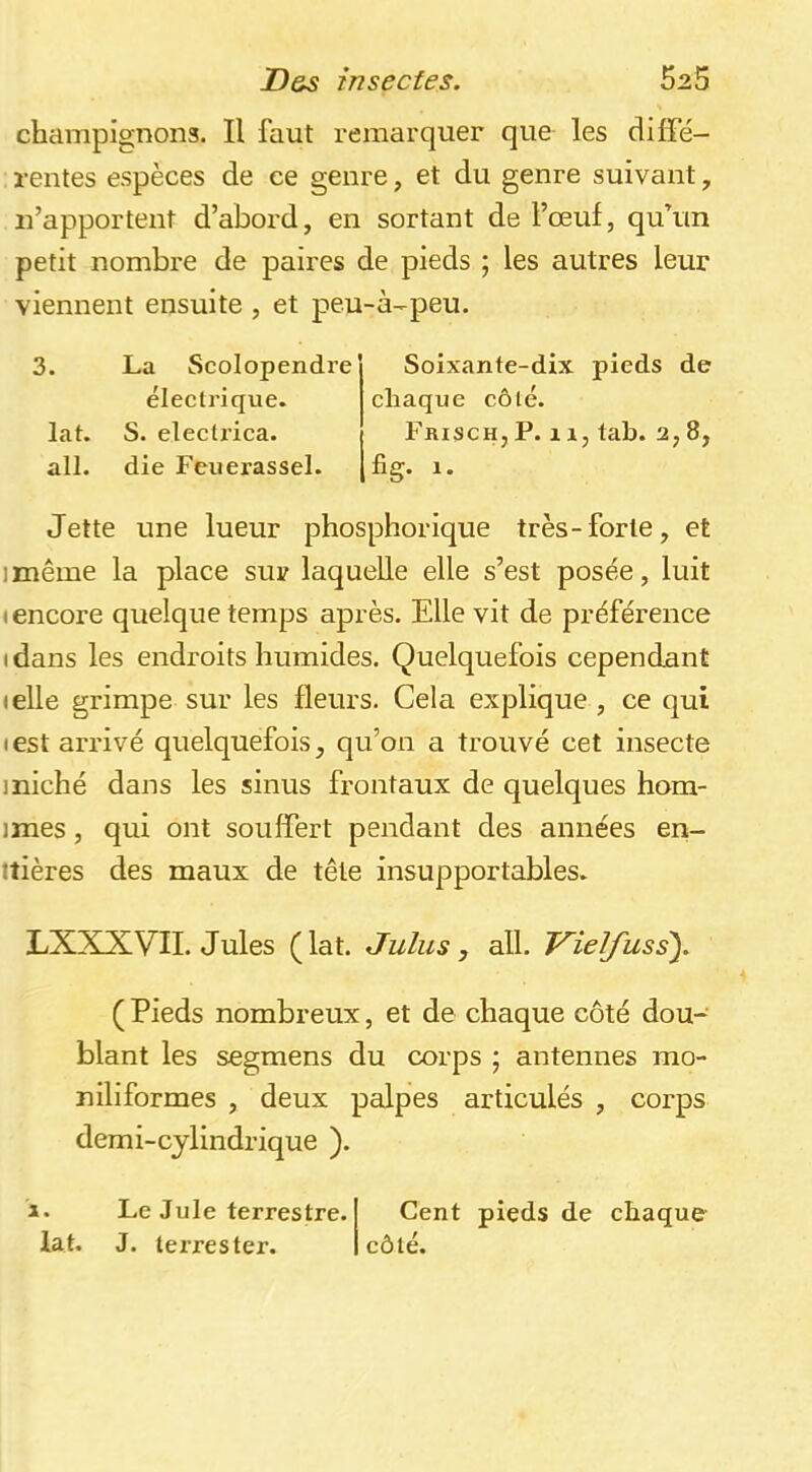 champignons. Il faut remarquer que les diffé- rentes espèces de ce genre, et du genre suivant, n’apportent d’abord, en sortant de l’œuf, qu’un petit nombre de paires de pieds ; les autres leur viennent ensuite, et peu-à-peu. 3. La Scolopendre éleetrique. lat. S. electz’ica. ail. die Feuerassel. Soixante-dix pieds de chaque côlé. Frisch, P. 11, tab. 2, 8, fig. 1. Jette une lueur phosphorique très-forte, et imême la place sur laquelle elle s’est posée, luit (encore quelque temps après. Elle vit de préférence (dans les endroits humides. Quelquefois cependant (elle grimpe sur les fleurs. Cela explique , ce qui ( est arrivé quelquefois, qu’on a trouvé cet insecte 1 niché dans les sinus frontaux de quelques hom- imes, qui ont souffert pendant des années en- tîières des maux de tête insupportables. LXXXVIL Jules (lat. Juins, ail. Vielfuss\ ( Pieds nombreux, et de chaque côté dou- blant les segmens du corps ; antennes mo- niliformes , deux palpes articulés , corps demi-cjlindrique ). 1. Le Jule terrestre. Cent pieds de chaque lat. J. terres ter. côté.