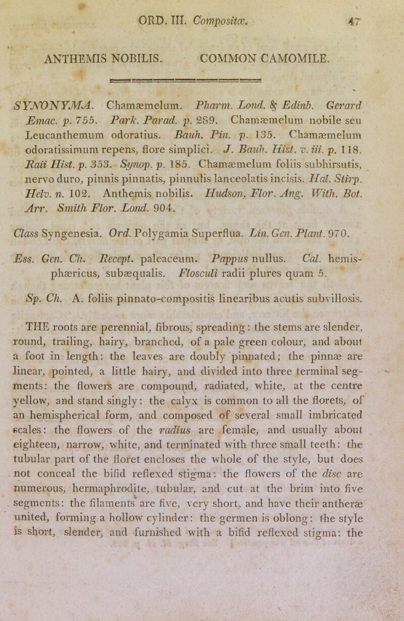 ANTHEMIS NOBILIS. COMMON CAMOMILE, SYKONYMA. Chamaemelum. Pliarm. Lond. ^ Edinb. Gerard Emac. p. 755. Park. Parad. p. 2S9. Chamagraelum nobile sen Leucanthemiim odoratius. Bauh. Pin. p. 135, Chamaemelum odoratissimum repens^ flore simplici, J. Baiilr. Hist. v. Hi. p. 118, Baii Hist. p. 353. Eynop. p. 185. Chamaimelum foliis subhirsutis, nervo duro, pinnis pinnatis, pinnuHs lanceolatis incisis. Hal. Siirp. Helv. n. 102. Anthemis nobilis. Hudson, Flor. Ang. With. Bot. Arr. Smith Flor. Lond. 904. Class Syngenesia. Ord. Polygamia Superflua, Lin. Gen. Plant. 970. Ess. Gen. Cli. Rccept. paleaceiim. Pappus nullus. Cal. hemis- phaericus, siibaequalis. Flosculi radii plures quam 5. Sp. Ch. A. foliis pinnato-compositis linearibus acutis subvillosis. THE roots are perennial, fibrous, spreading: the stems are slender, round, trailing, hairy, branched, of a pale green colour, and about a foot in length; the leaves are doubly pinnated; the pinnae are linear, pointed, a little hairy, and divided into three terminal seg- ments: the flowem are compound, radiated, white, at the centre yellow, and stand singly; the calyx is common to all the florets, of an hemispherical form, and composed of several small imbricated scales; the flowers of the radius are female, and usually about eighteen, narrow, white, and terminated with three small teeth: the tubular part of the floret encloses the whole of the style, but does not conceal the bifid reflexed stigma: the flowers of the disc are numerous, hermaphrodite, tubular, and cut at the brim into five segments: the filaments are five, very short, and have their anthera; united, forming a hollow cylinder; the germen is oblong; tbe style is short, slender, and furnished with a bifid reflexed stigma: the