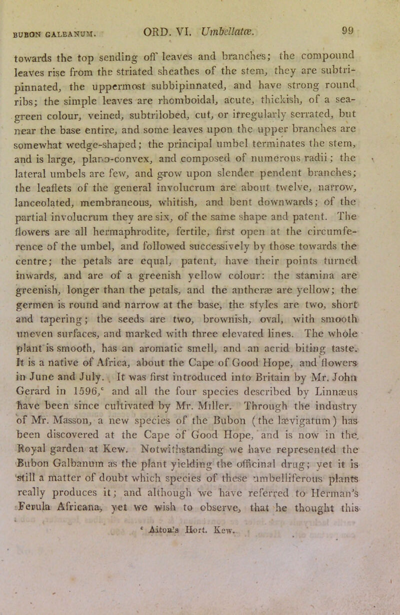 towards the top sending off leaves and branches; the compound leaves rise from the striated sheathes of the stem, they are subtri- pinnated, the uppermost subbipinnated, and have strong round ribs; the simple leaves are rhomboidal, acute, thickish, of a sea- green colour, veined, subtrilobed, cut, or irregularly serrated, but near the base entire, and some leaves upon the upper branches are somewhat wedge-shaped; the principal umbel terminates the stem, and is large, plano-convex, and composed of numerous radii; the lateral umbels are few, and g-row upon slender pendent branches; the leaflets of the general involucrum are about twelve, narrow, lanceolated, membraneous, whitish, and bent downwards; of the partial involucrum they are six, of the same shape and patent. The flowers are all hermaphrodite, fertile, first open at the circumfe- rence of the umbel, and followed successively by those towards the centre; the petals are equal, patent, have their points turned inwards, and are of a greenish yellow colour: the stamina are greenish, longer than the petals, and the antherm are yellow; the germen is round and narrow at the base, the styles are two, short and tapering; the seeds are two, brownish, oval, with smooth uneven surfaces, and marked with three elevated lines. The whole' plant is smooth, has an aromatic smell, and an acrid biting taste. It is a native of Africa, about the Cape of Good Hope, and flowers in June and July. It was first introduced into Britain by Mr. John Gerard in 1596,' and all the four species described by Linnasus have been since cultivated by Mr. Miller. Through the industry of Mr. Masson, a new species of the Bubon (the laevigatum) has been discovered at the Cape of Good Hope, and is now in the. Royal garden at Kew. Notwithstanding we have represented the 'Bubon Galbanum as the plant yielding the officinal drug; yet it is still a matter of doubt which species of these umbelliferous plants really produces it; and although we have referred to Herman’s rFepula Africana, yet we wish to observe, that he thought thiS' * .Aitoa-’a Ilort. Kew.