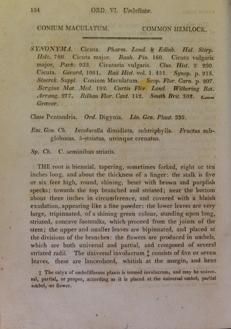 CONIUM MACULATUM. COMMON HEMLOCK. » SYJ^ONYMA. Cicuta. Pharm. Lond. ^ Edinh. Hcd. Stirp. IIclv. 76G. Cicuta major. Bauli. Pin. 160. Cicuta vulgaris major. Park. 933. Cicutaria vulgaris. Cltis. Hist. 2. 200. Cicuta. Gerard, 1061, Raii Hist. vol. 1. 451. ' Synop. p. 215. Stoerck. Suppl. Conium Maculatum. Scop. Flor. Cam. p. 207. Rcrgius Mat. Med. 192. Curtis Flor. Lond. Withering Bot: Arrang.277. Rclhan Flor. Cant. 11%. Smith Brit. 30%. Kww/m Grcecor. Class Pentandria. Ord. Digynia. Lin. Gen. Plant. 336. * Ess. Gen. Ch. Involucella dimidiata, subtriphylla.- Fructus sub- globosus, 3-striatus, utrinque crenatus. Sp. Ch. C. seminibus striatis. THE root is biennial, tapering, sometimes forked, eight or ten inches long, and about the thickness of a finger: the stalk is five ' or six feet high, round, shining, beset with brown and purplish specks; towards the top branched and striated; near the bottom about three inches in circumference, and covered with a bluish exudation, appearing like a fine powden the lower leaves are very large, tripihnated, of a shining green colour, standing upon long, striated, concave footstalks, which proceed from the joints of the stem; the upper and smaller leaves are bipinnated, and placed at the divisions of the branches: the flowers are produced in umbels, which are both universal and partial, and composed of several striated radii. The universal involucrum \ consists of five or seven leaves, these are lanceolated, whitish at the margin, and bent J The calyx of umbelliferous plants is termed involucrum, and may be univer- sal, partial, or proper, according as it is placed at the universal umbel, partial umbel, or flower. J