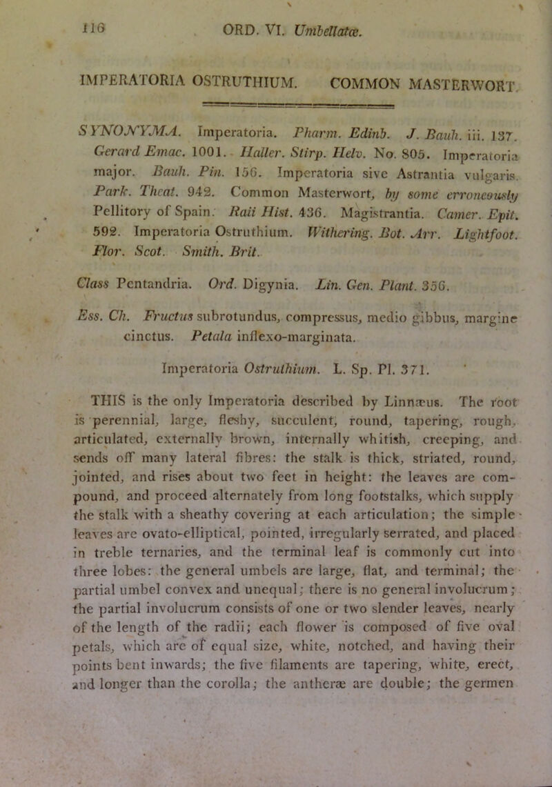 IMPRRATORIA OSTRUTHIUM. COMMON MASTERWORT. SYNOJ^YMA. Imperatoria. Pharm. Edinb. J. Bauli. \\\. V37. Gerard Emac. \0Q\. Haller. Stirp. Helv. Yio. %0b. Impfratoria major. Bauh. Pin. 15G. Imperatoria sivc Astrantia vulgaris. Park. Thcai. 942. Common Masterwort, by some erroneously Pellitory of Spain. Baii Hist. 436. Magistrantia. Gamer. Epit. 592. Imperatoria Ostriithium. Withering. Bot. Arr. Lightfoot. Flor. Scot. Smith. Brit. Class Pcntanclria. Ord. Digynia. Lin. Gen. Plant. 356. Ess. Ch. Fructus siibrotundus, compressus, medio gibbus^ margine cinctiis. Petala inflexo-marginata. Imperatoria Ostrulhium. L. Sp, PI. 3 71. THIS is the only Imperatoria described by LinUcTus. The root is perenniab large, fleshy, succulent, round, tapering, rough, articulated, externally brown, internally whitish, creeping, and sends off many lateral fibres: the stalk is thick, striated, round, jointed, and rises about two feet in height: the leaves are com- pound, and proceed alternately from long footstalks, which supply the stalk with a sheathy covering at each articulation; the simple' leaves are ovato-elliptical, pointed, irregularly serrated, and placed in treble ternaries, and the terminal leaf is commonly cut into three lobes: the general umbels are large, flat, and terminal; the ■ partial umbel convex and unequal; there is no general involucrum; the partial involucrum consists of one or two slender leaves, nearly of the length of the radii; each flower is composed of five oval petals, which are of equal size, white, notched, and having their points bent inwards; the five filaments are tapering, white, erect, and longer than the corolla; the antherse are double; the germen