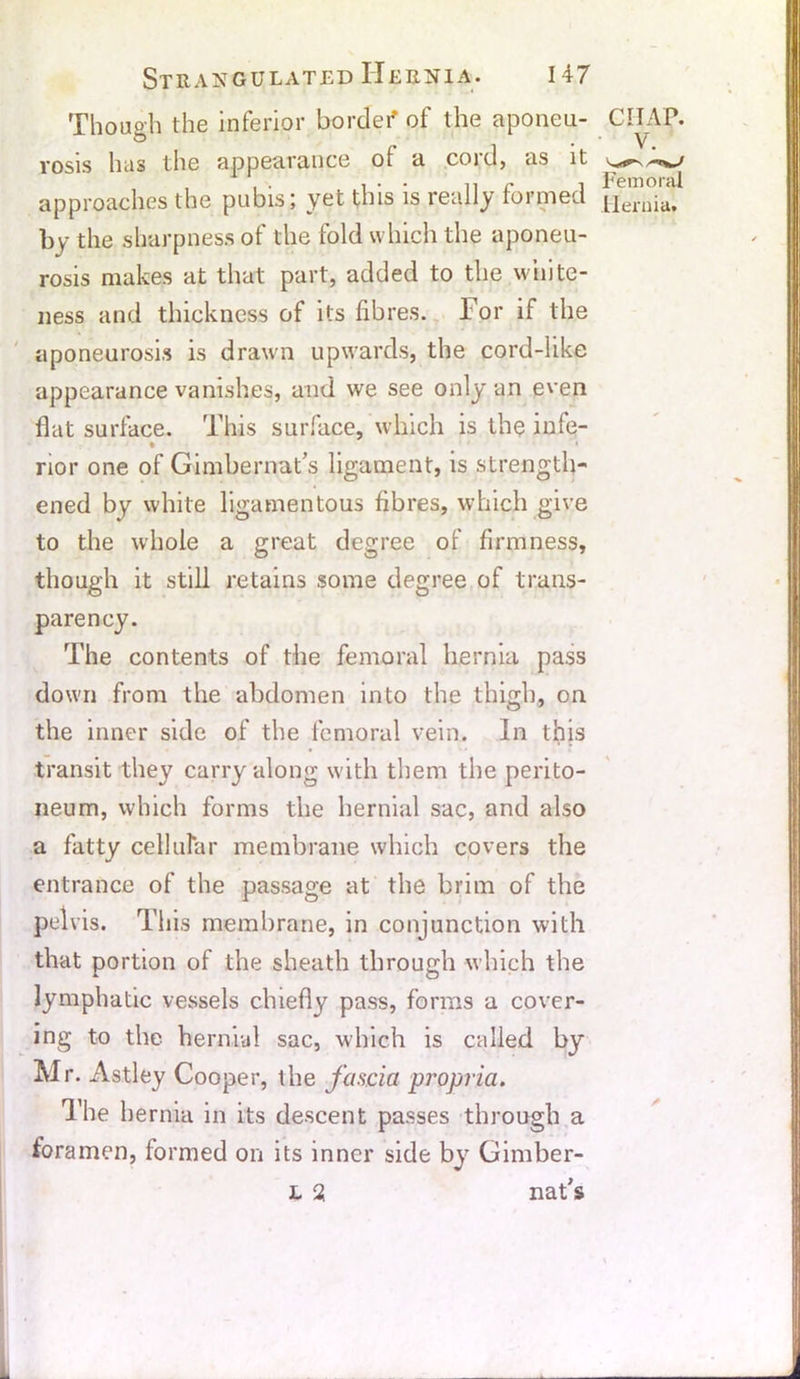 Though the inferior border of the aponeu- rosis has the appearance of a coid, as it by the sharpness of the fold which the aponeu- rosis makes at that part, added to the white- ness and thickness of its fibres. For if the aponeurosis is drawn upwards, the cord-like appearance vanishes, and we see only an even flat surface. This surface, which is the infe- rior one of Gimbernat’s ligament, is strength- ened by white ligamentous fibres, which give to the whole a great degree of firmness, though it still retains some degree of trans- parency. The contents of the femoral hernia pass down from the abdomen into the thigh, on the inner side of the femoral vein. In this transit they carry along with them the perito- neum, which forms the hernial sac, and also a fatty cellular membrane which covers the entrance of the passage at the brim of the pelvis. This membrane, in conjunction with that portion of the sheath through which the lymphatic vessels chiefly pass, forms a cover- ing to the hernial sac, which is called by Mr. Astley Cooper, the fascia propria. The hernia in its descent passes through a foramen, formed on its inner side by Gimber- l 2 nat's CHAP. V. Femoral